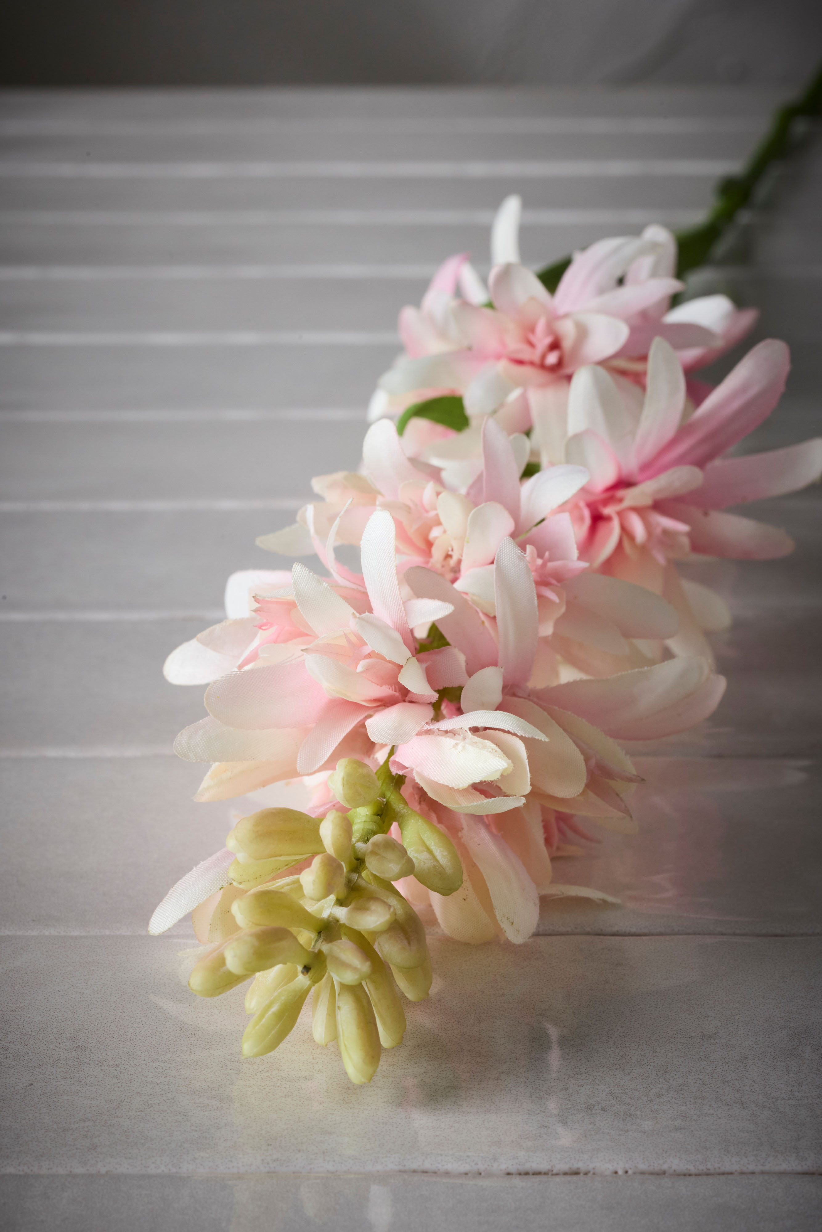 Tuberosa