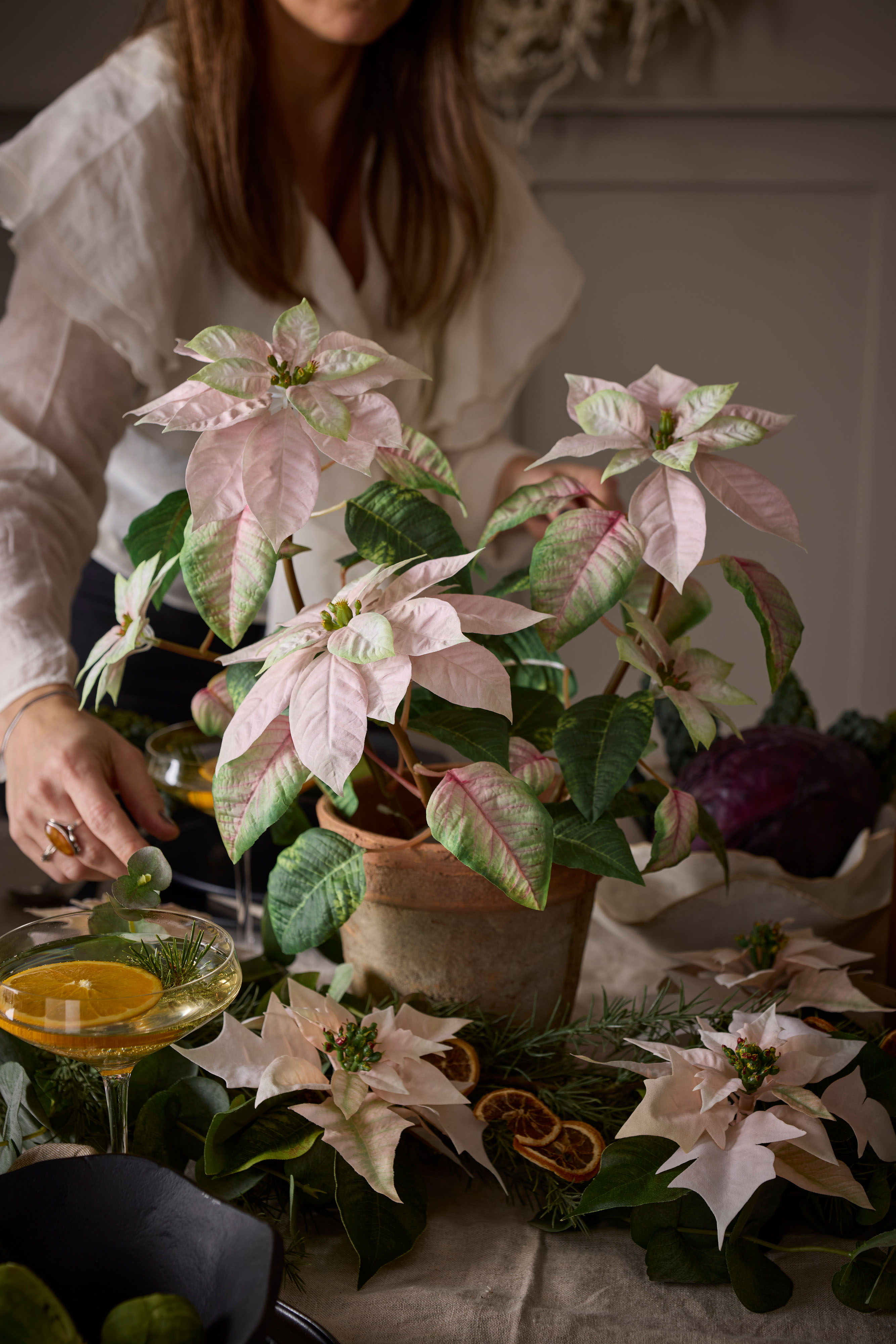 Höststjärna i kruka