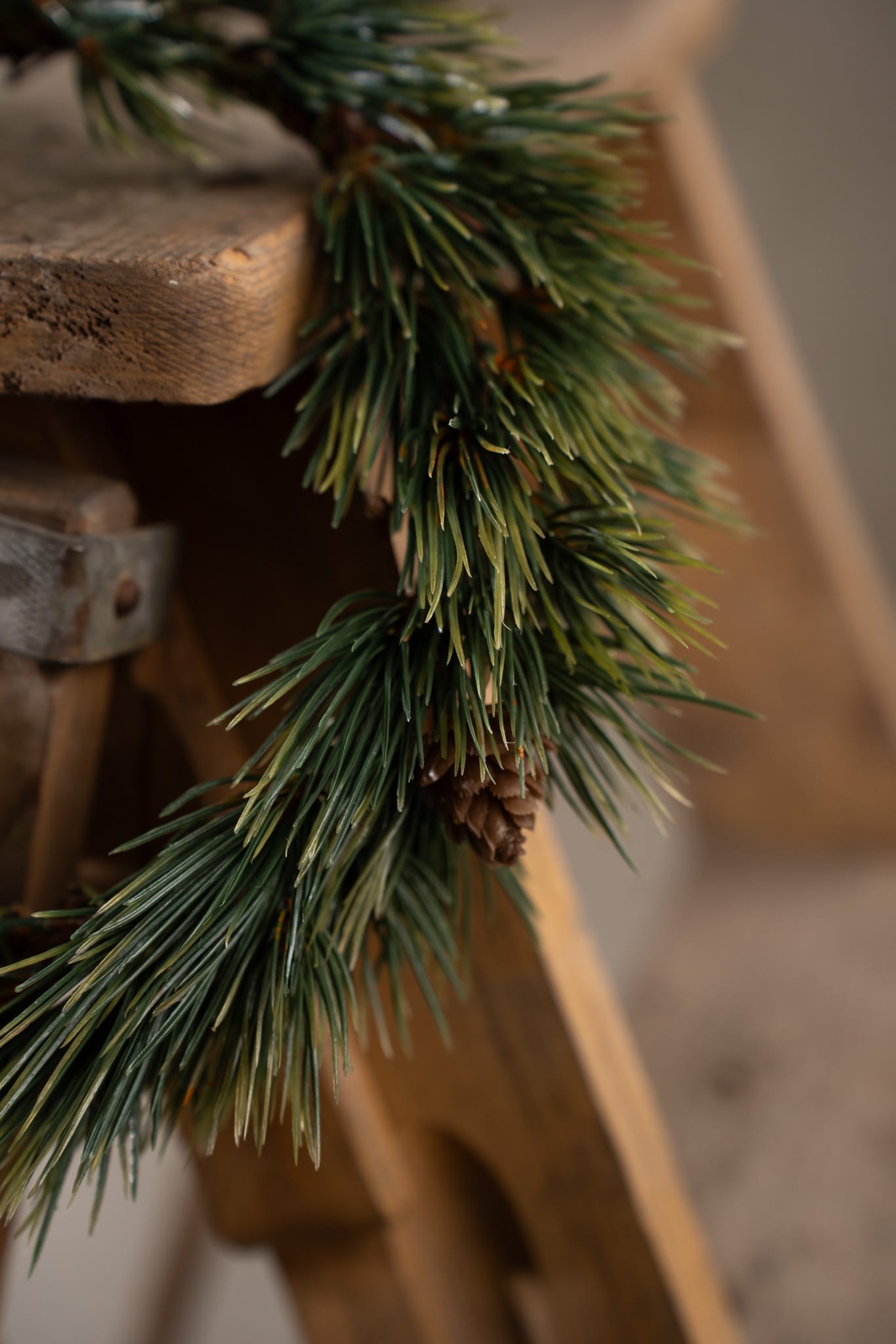 Tallkrans med kottar