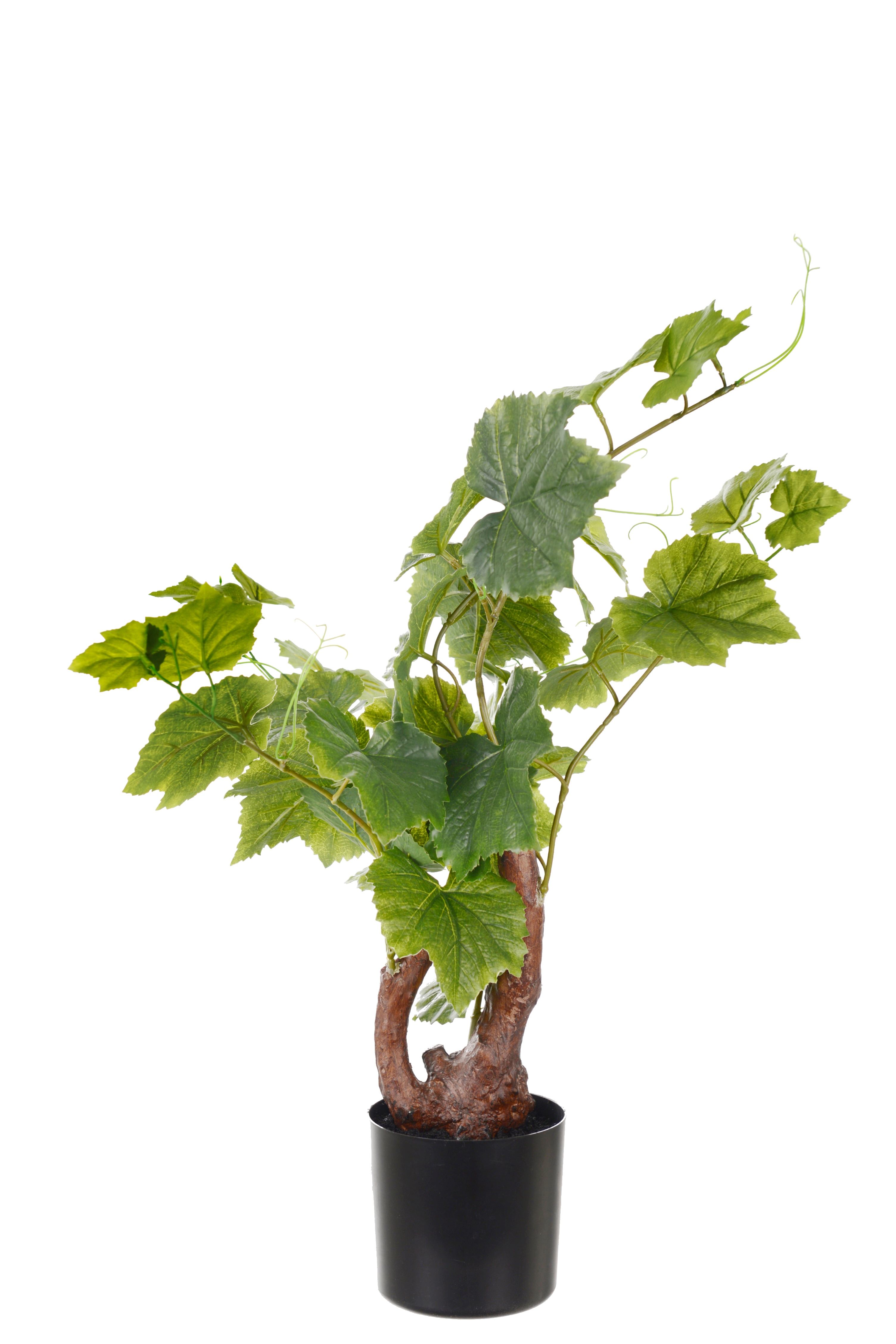 Vinstock
