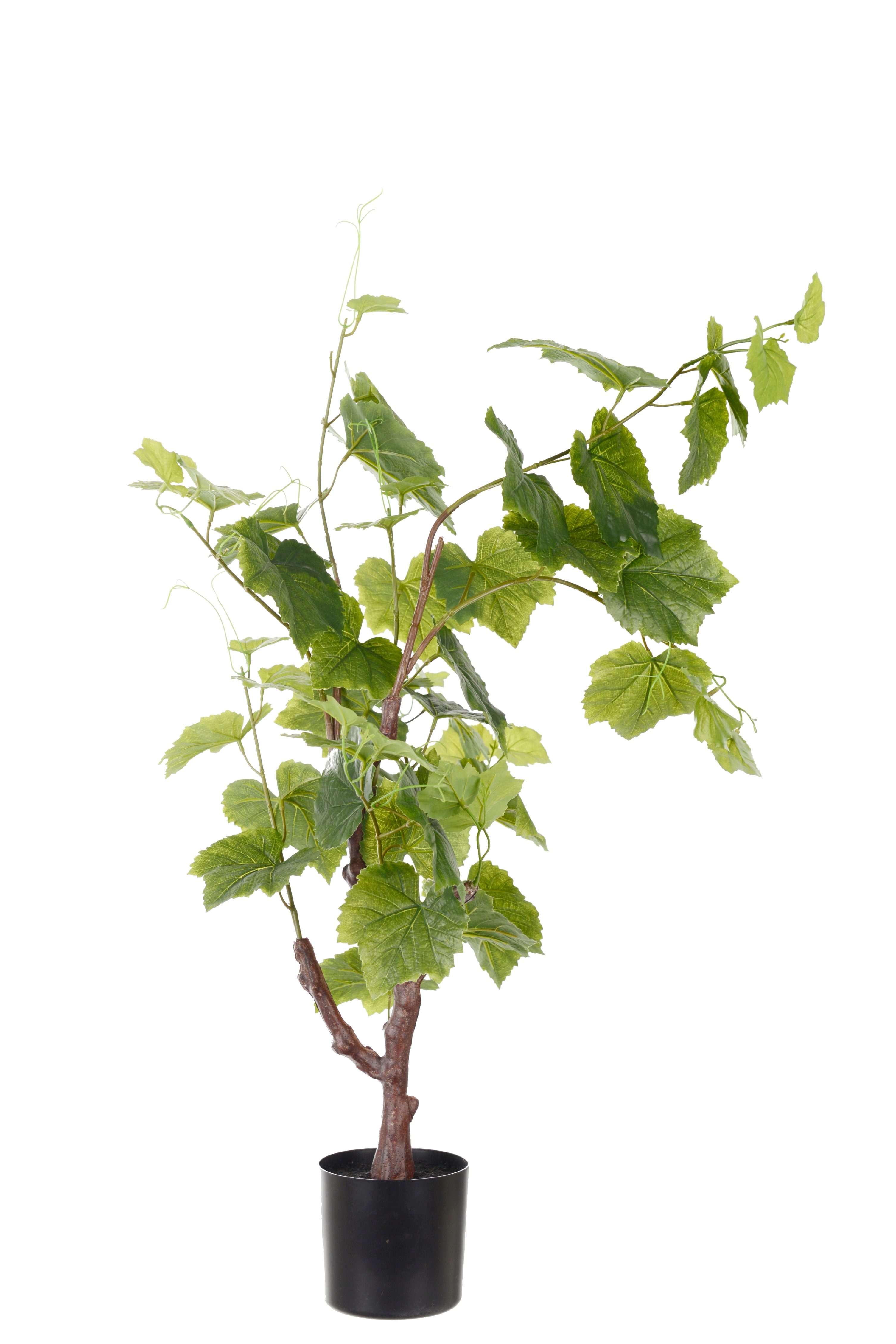 Vinstock
