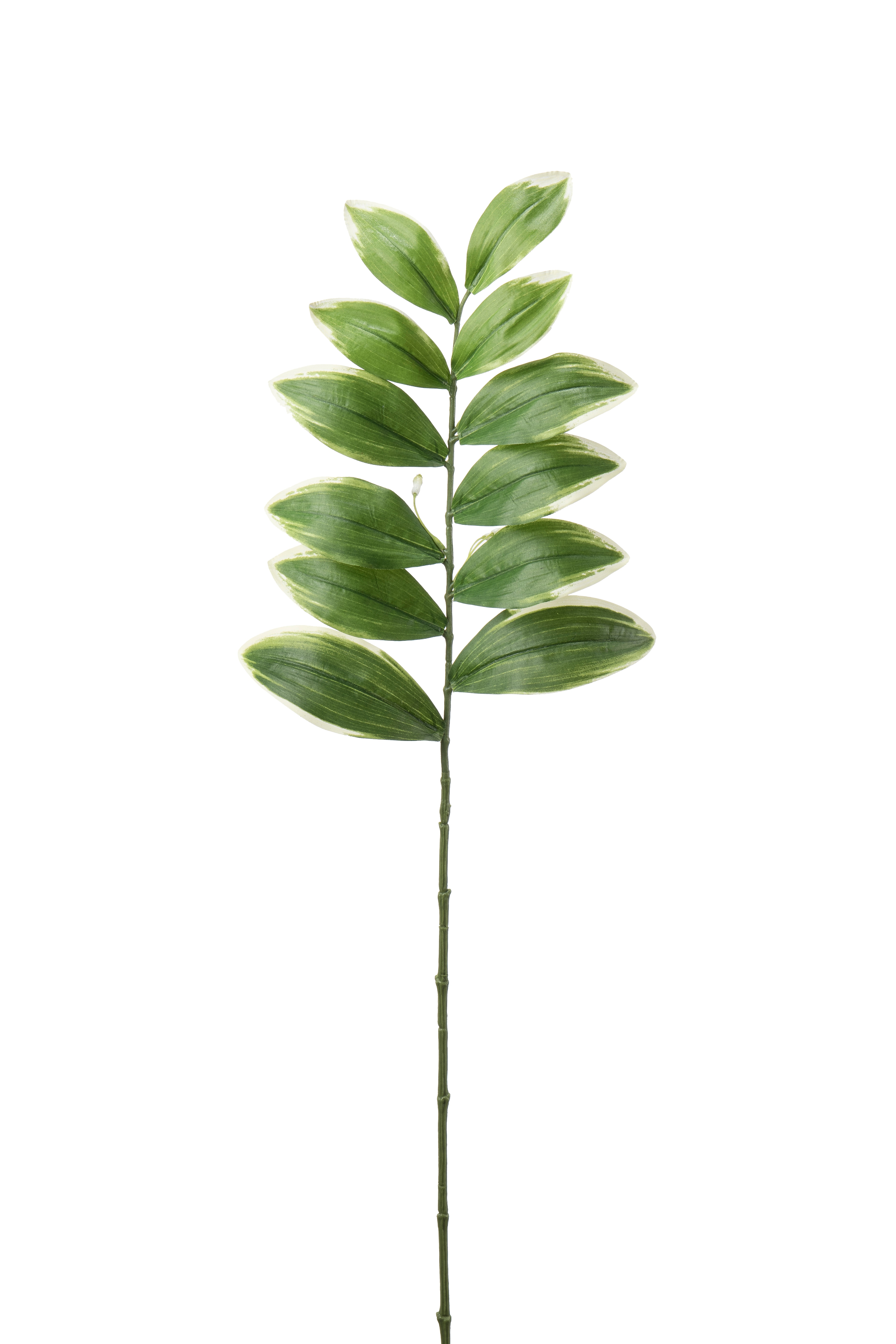 Blad