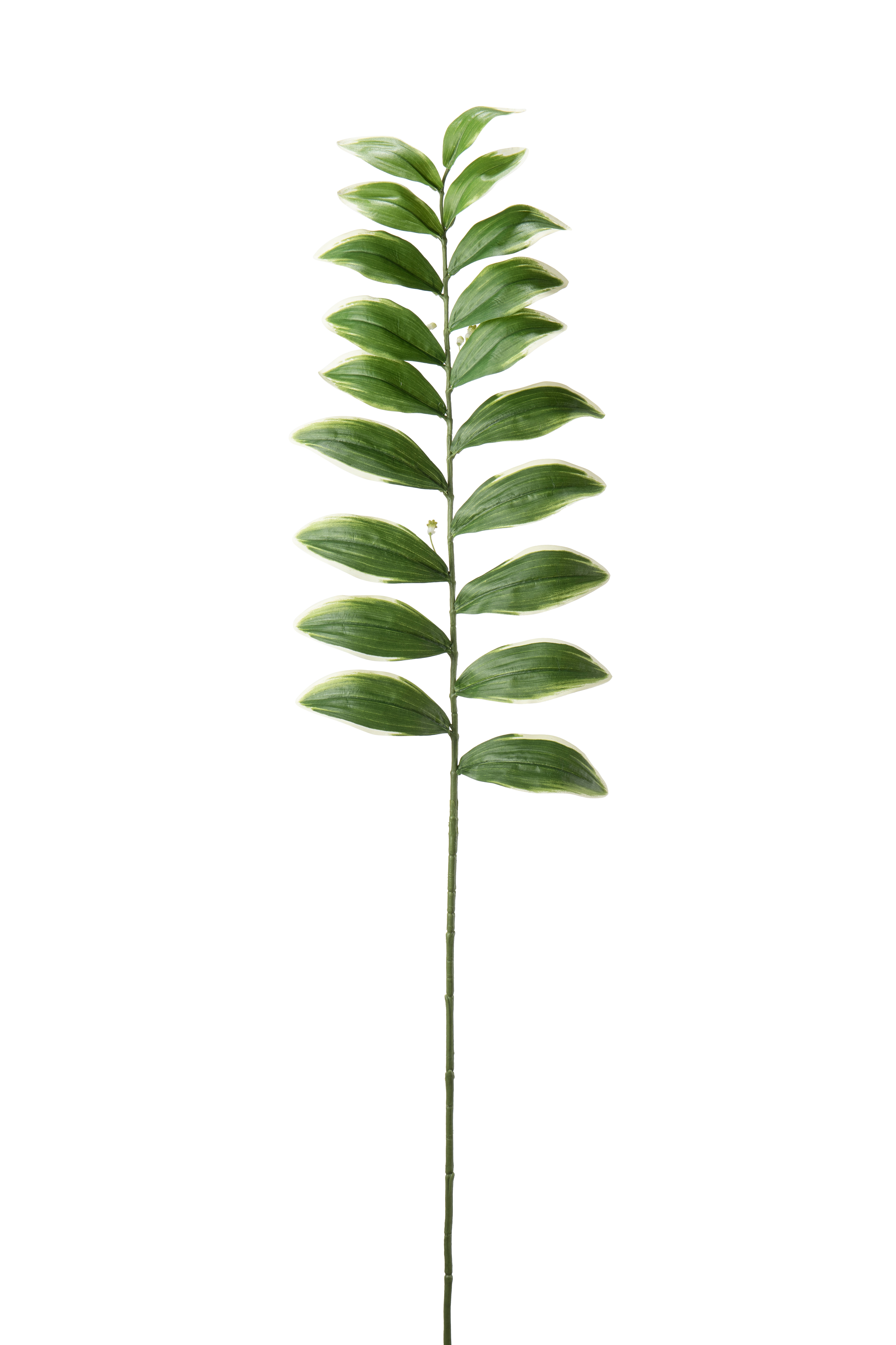 Blad