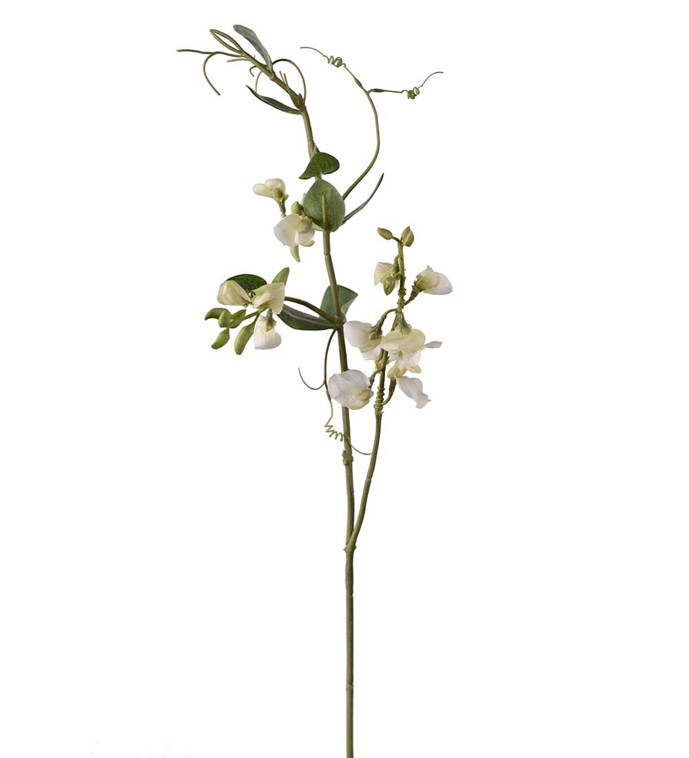 Luktärt