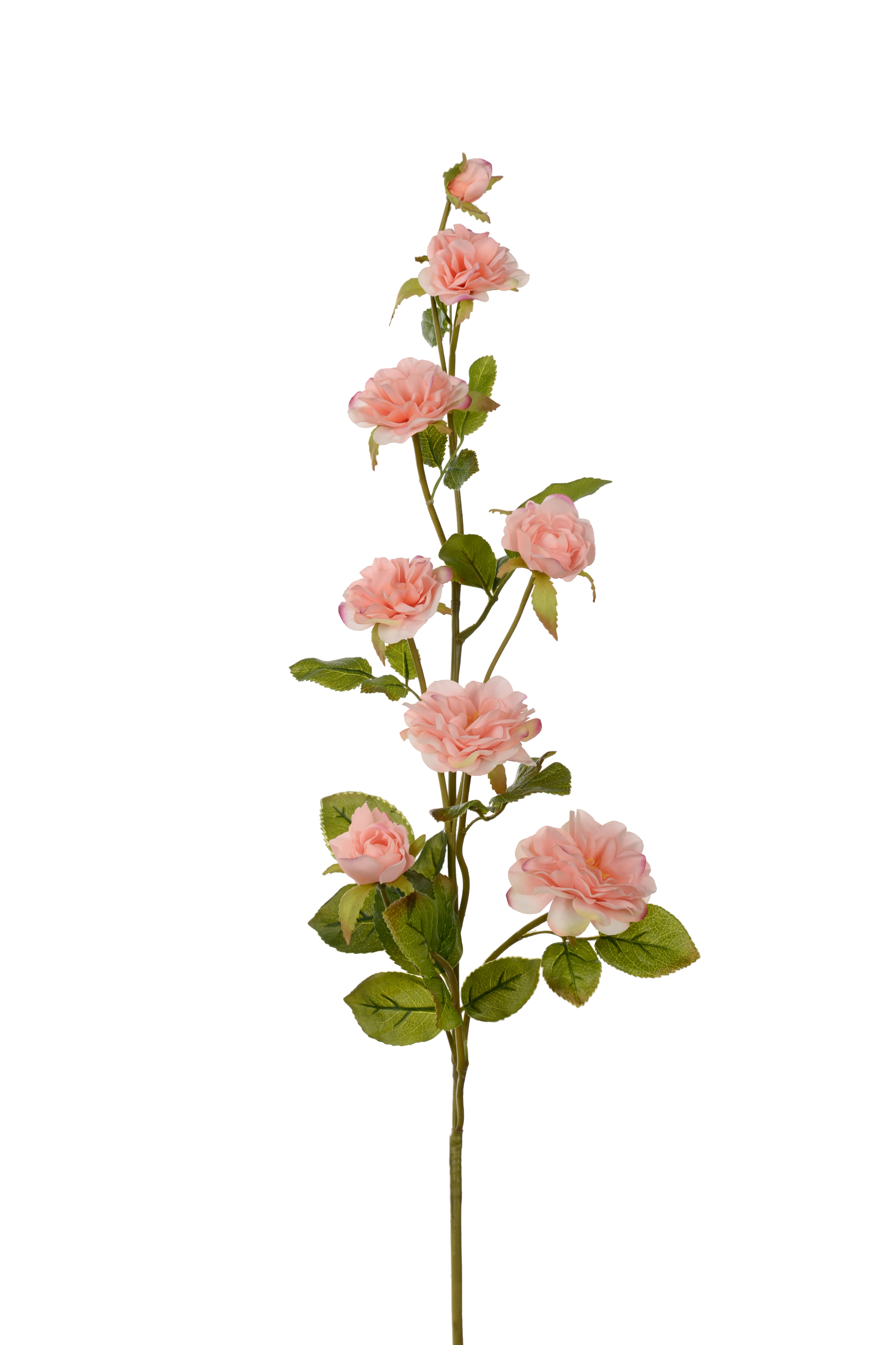 Klätterros