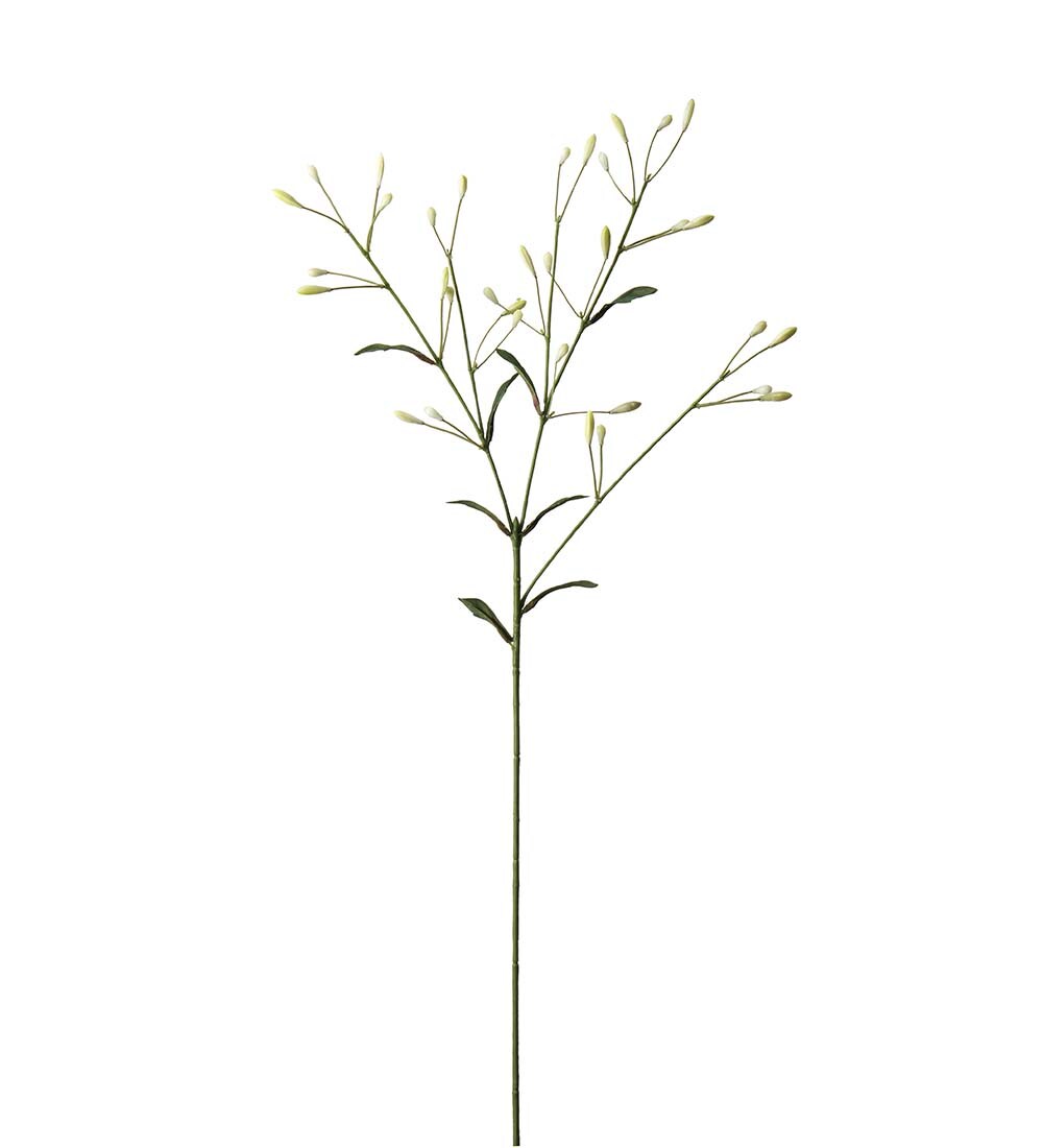 Bärkvist
