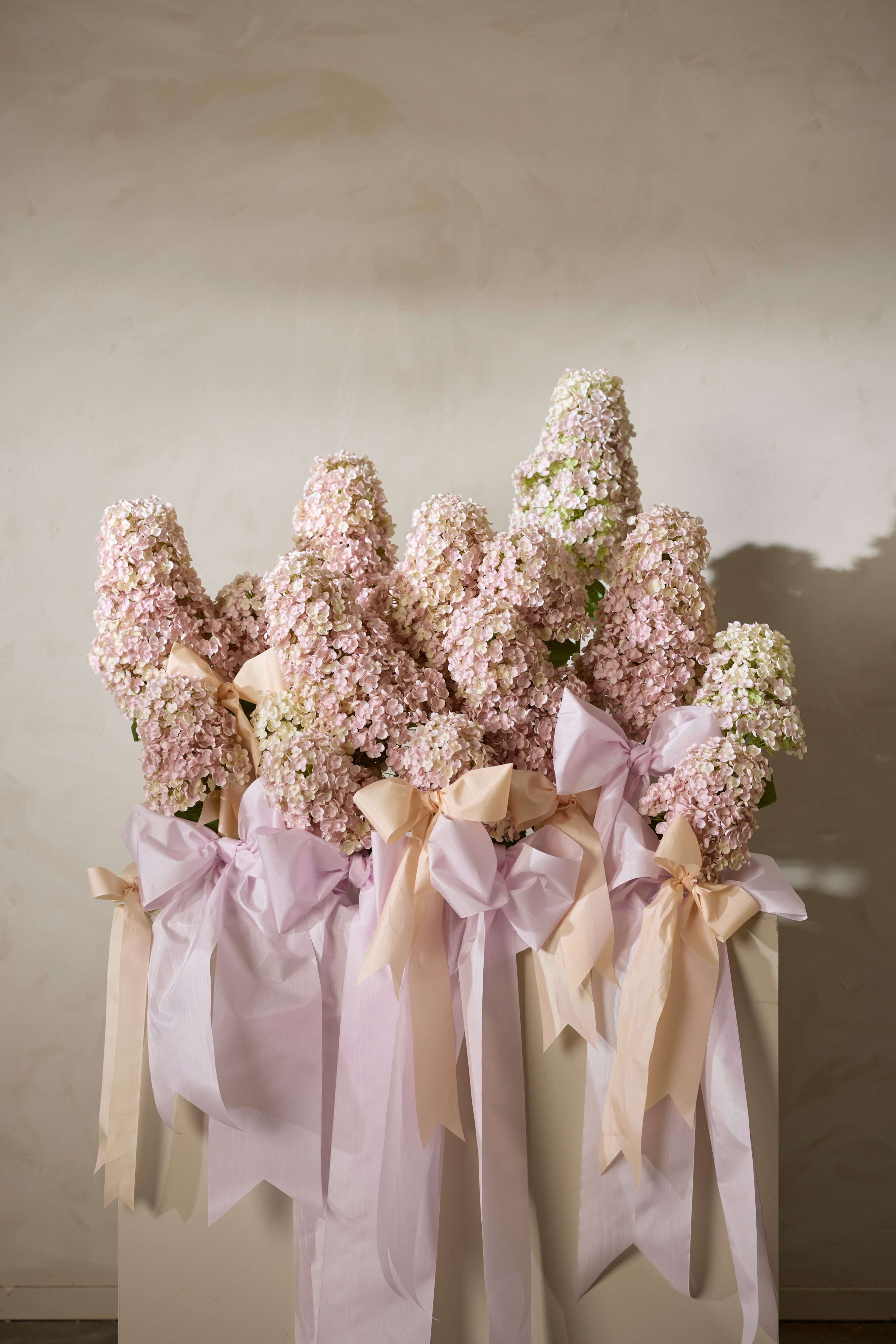 Syrénhortensia