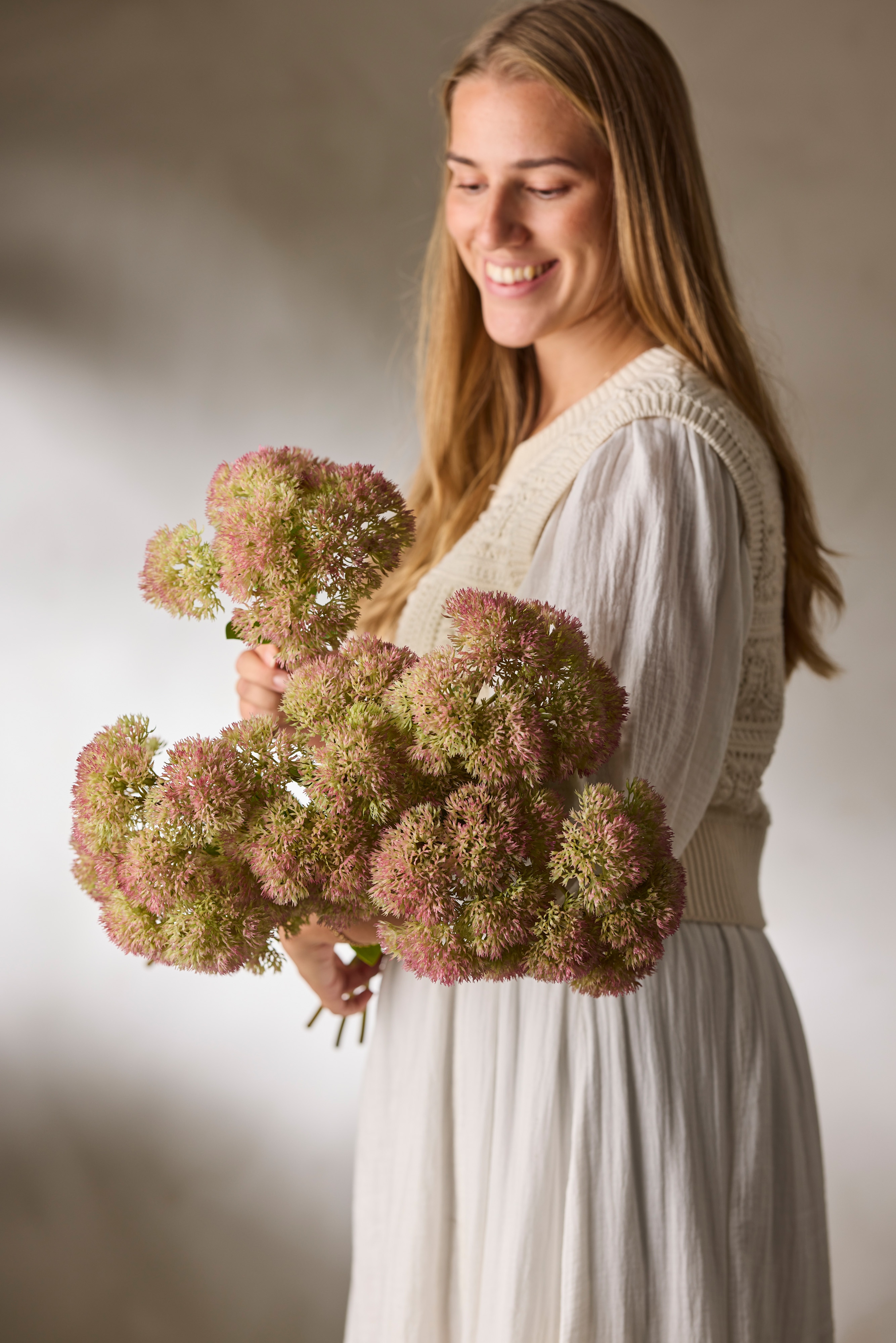 Sedum