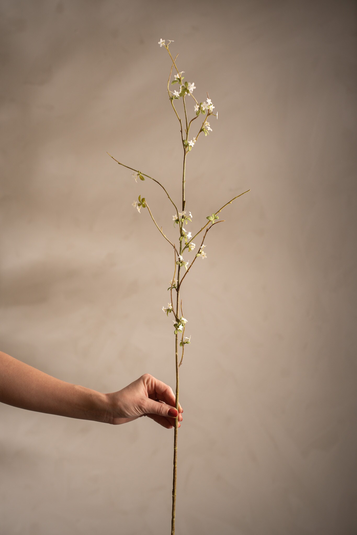 Blomkvist