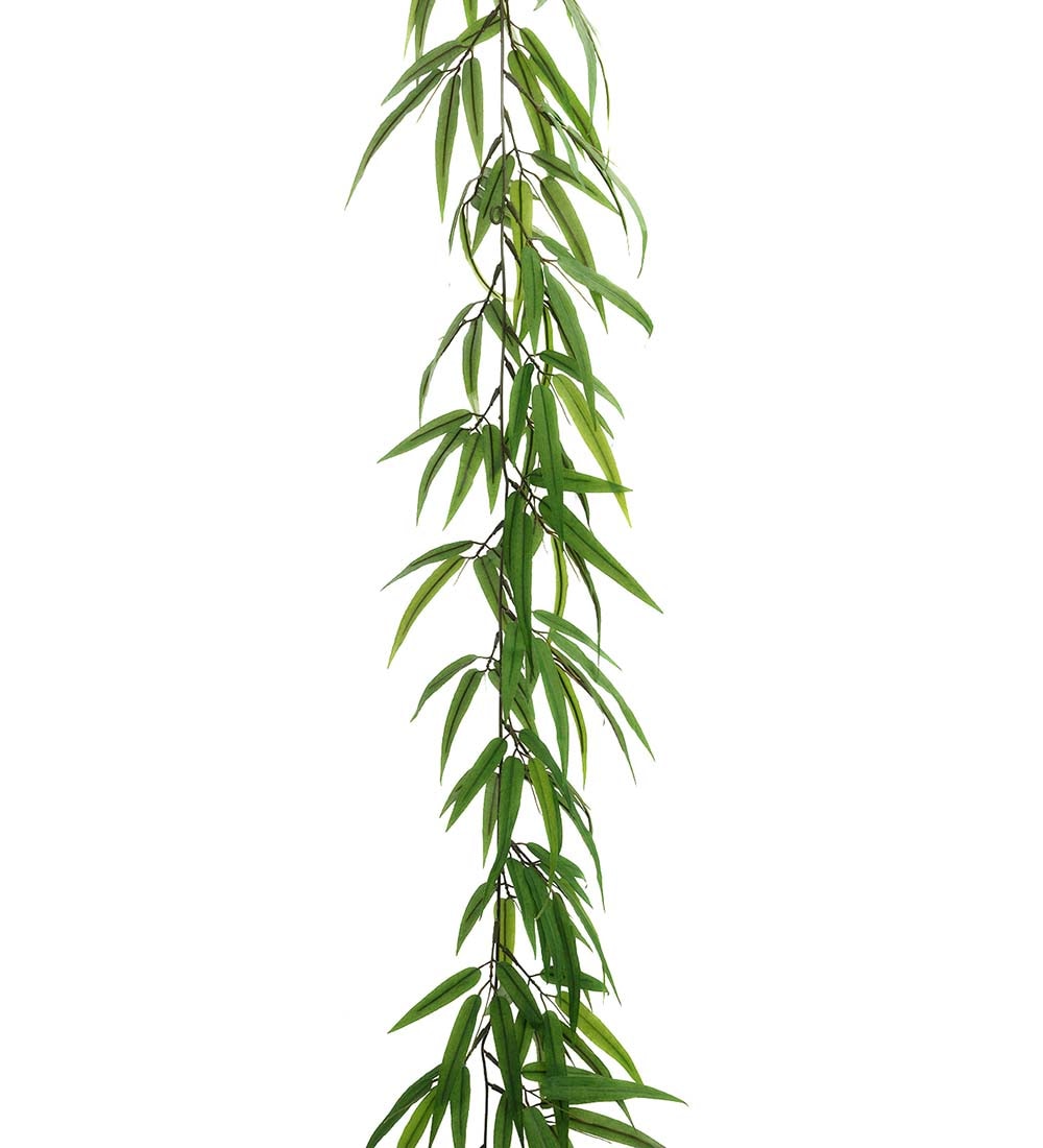 Bambu