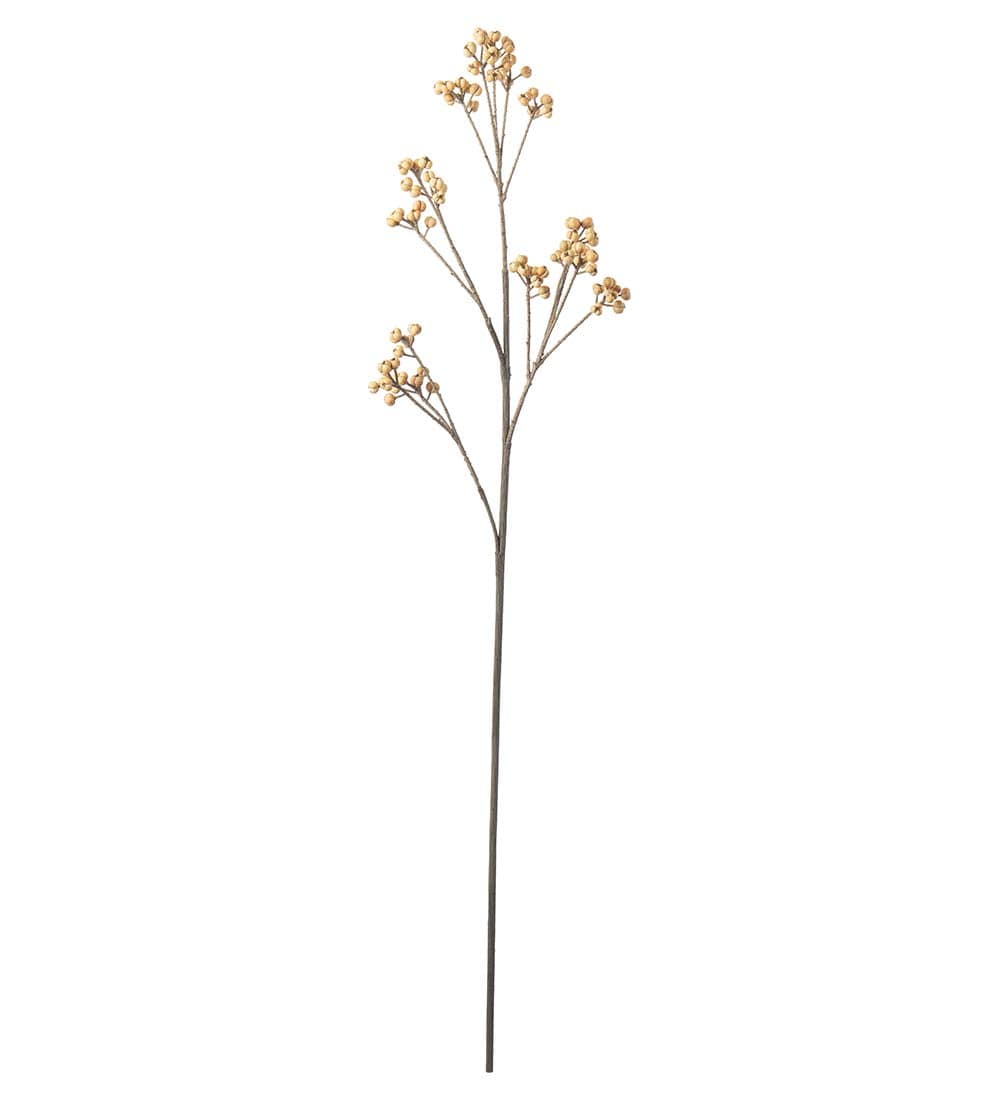Bärkvist
