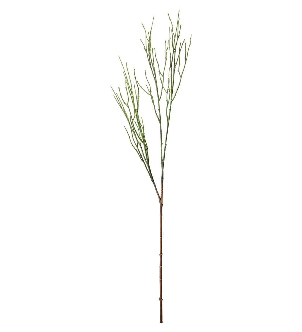 Blåbärskvist