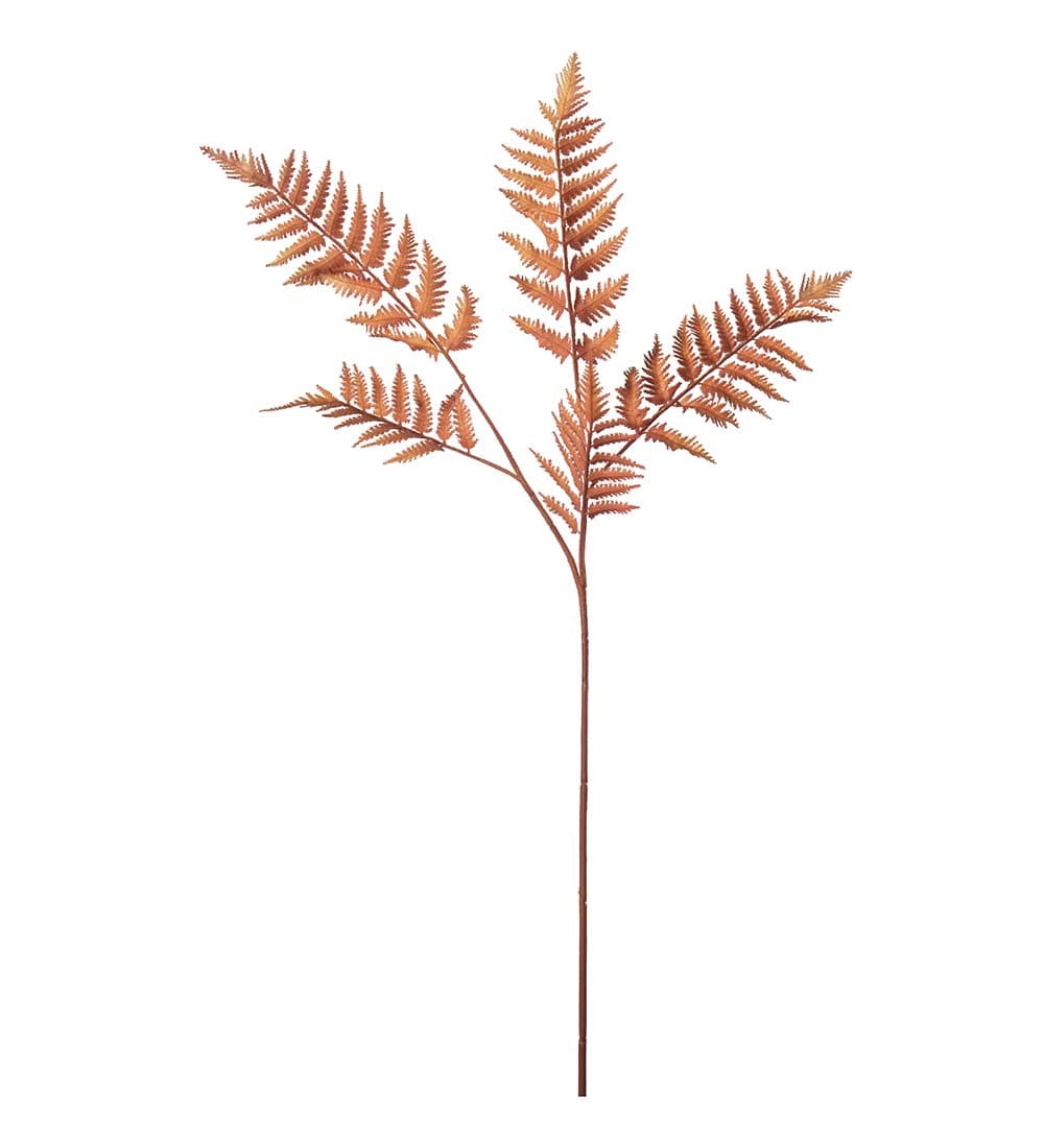 Ormbunksblad