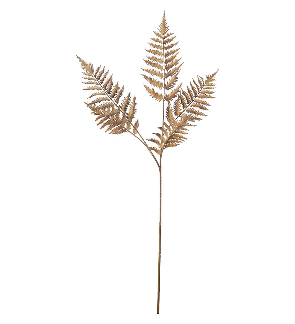 Ormbunksblad