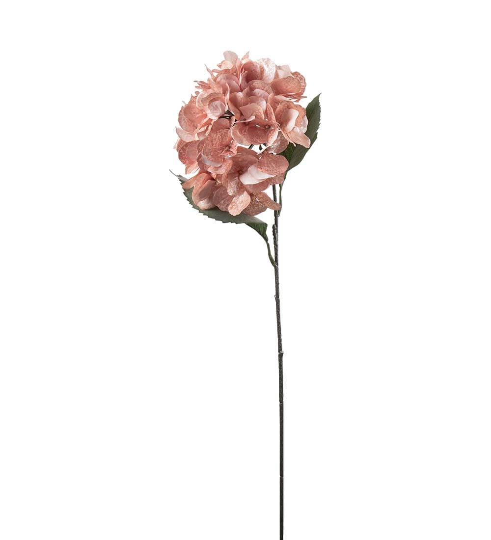Hortensia