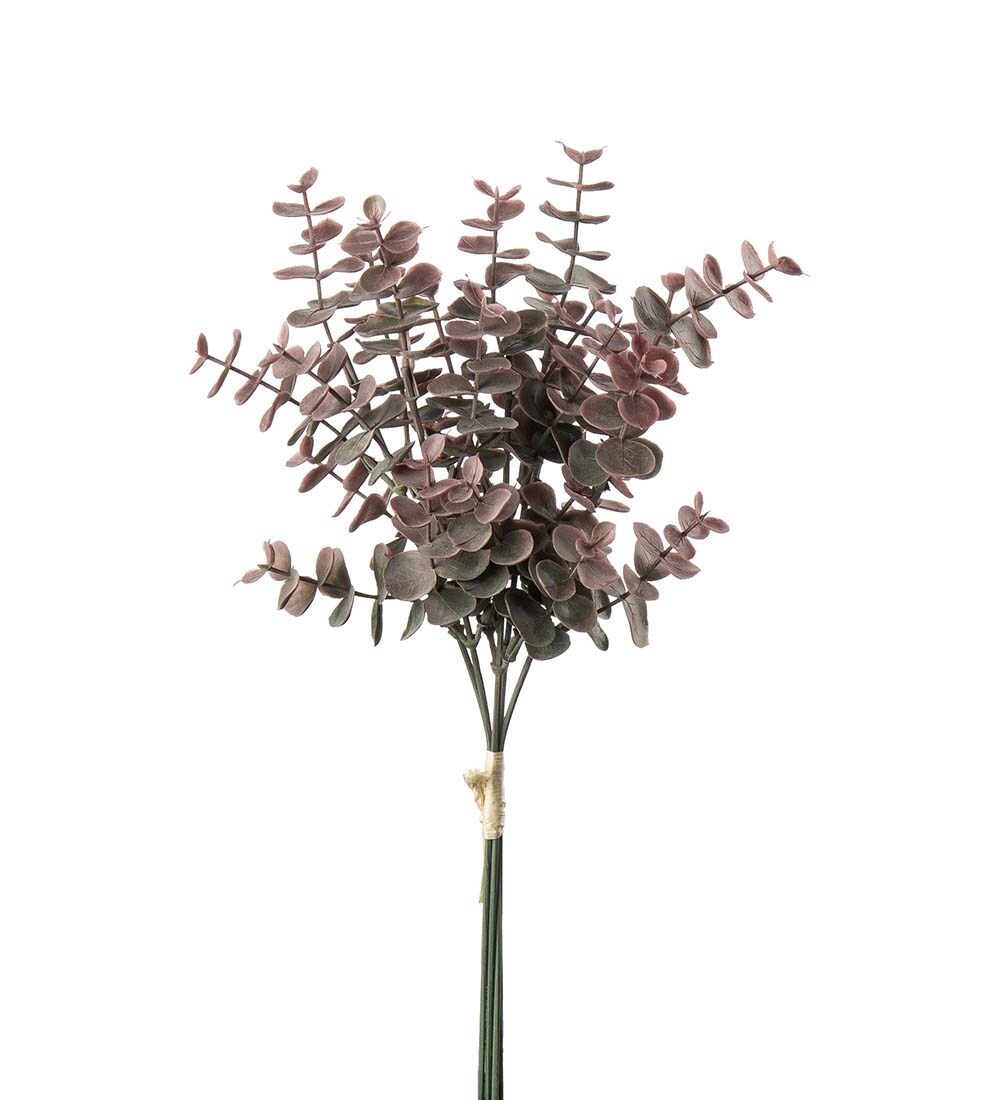 Eucalyptus bunt