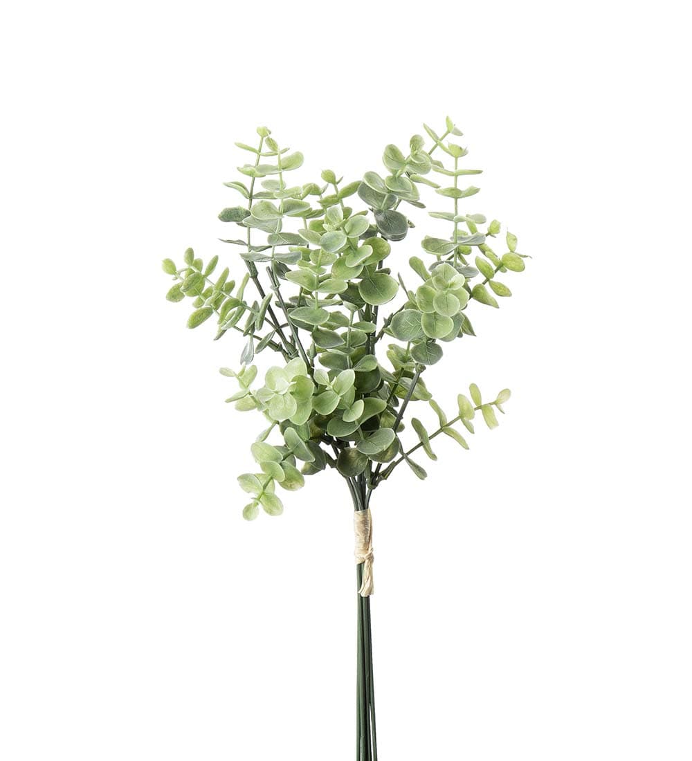 Eucalyptus bunt