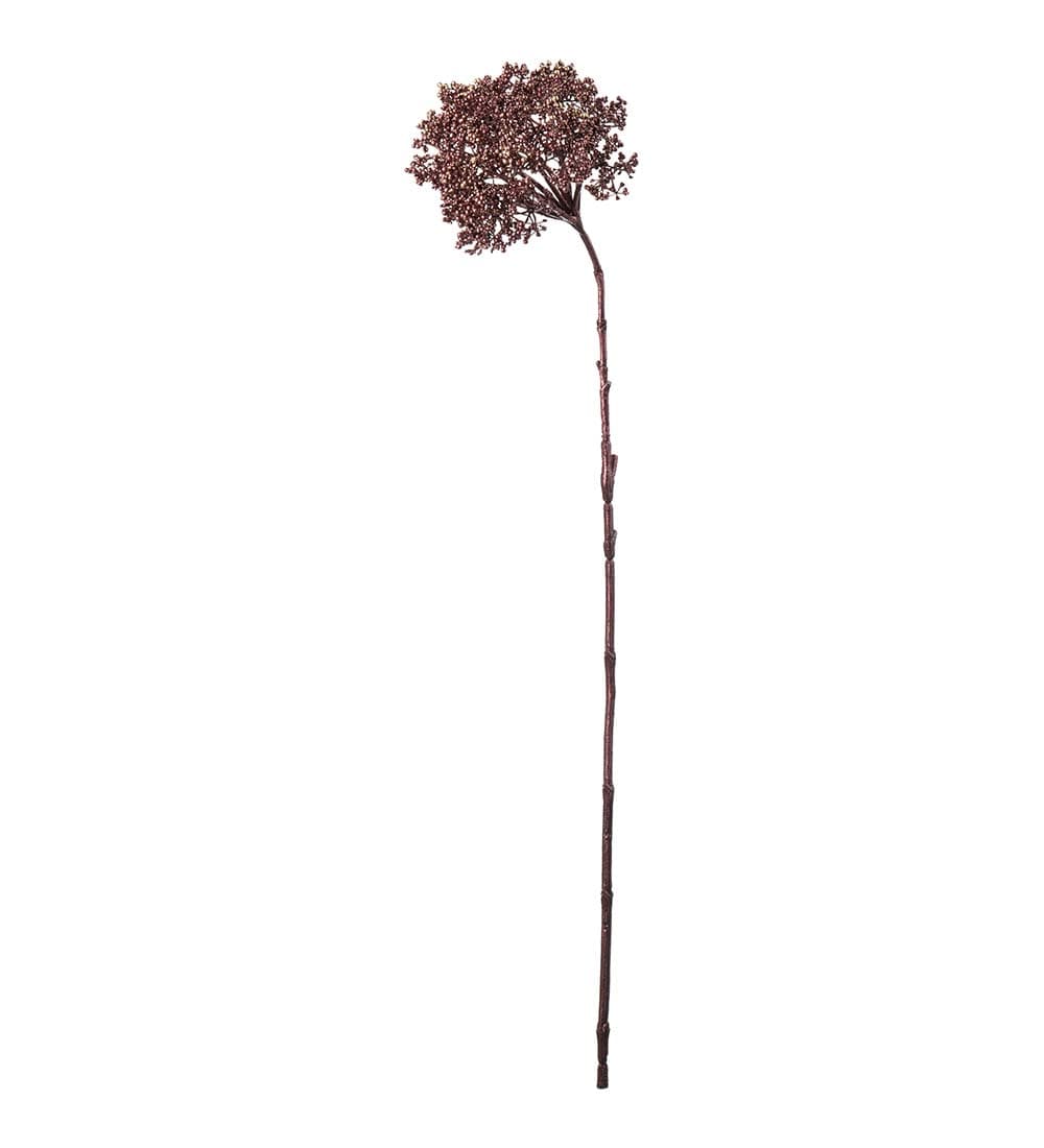 Bärkvist