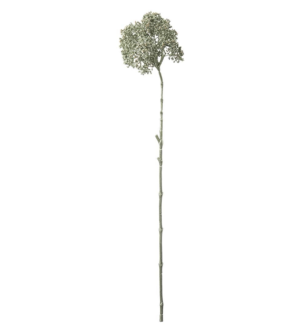 Bärkvist