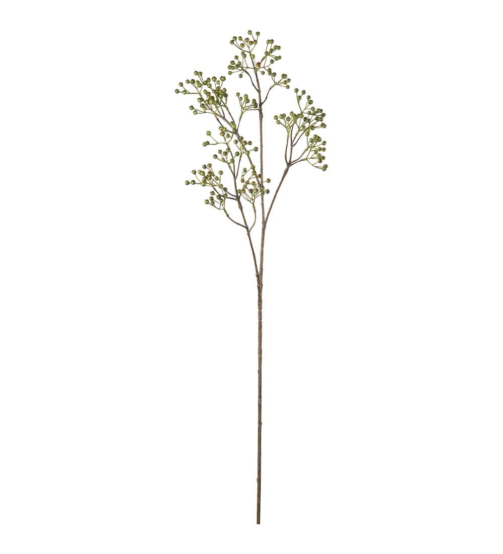 Bärkvist
