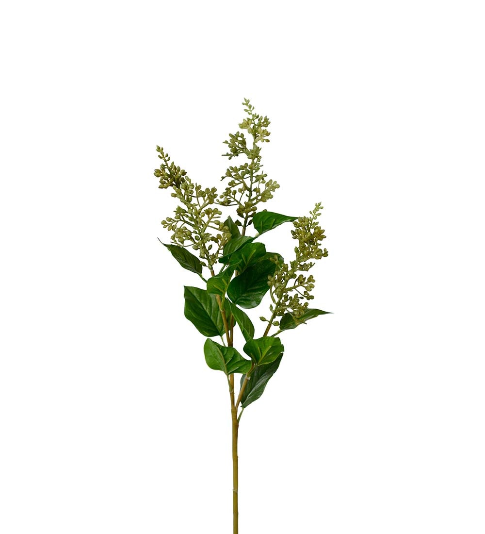 Bärkvist