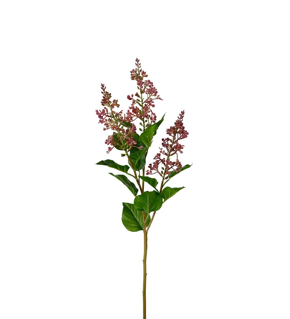 Bärkvist