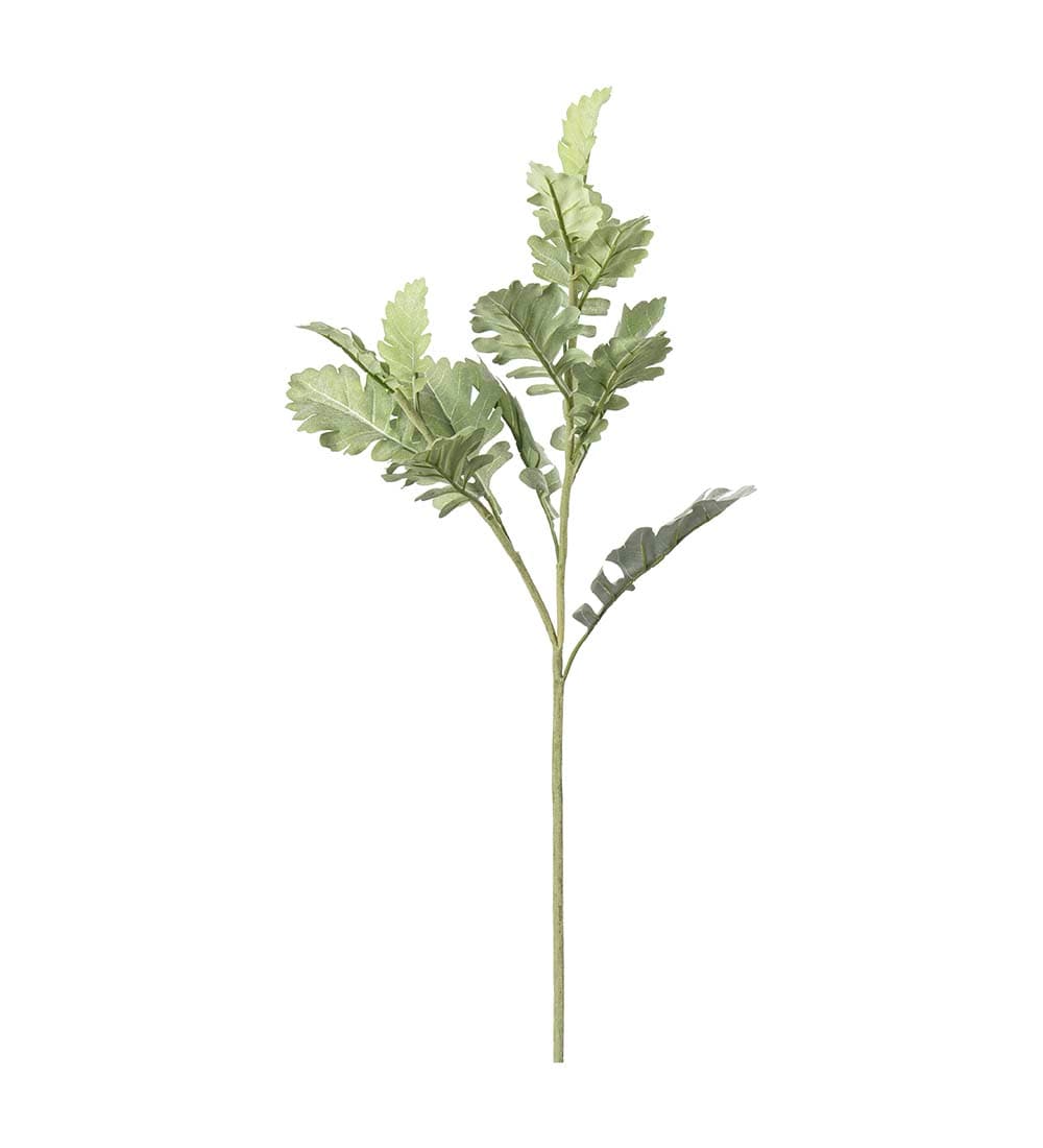 Silverek