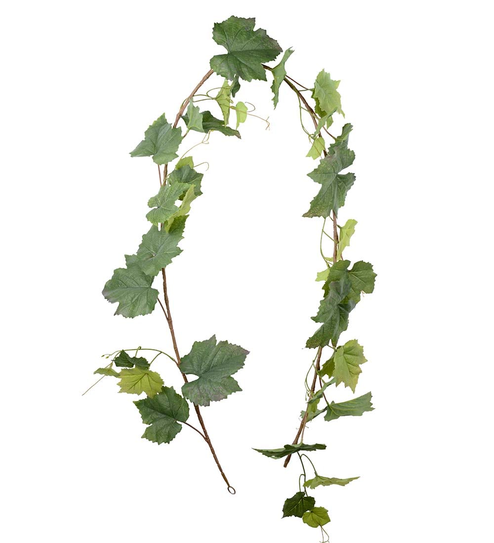 Vinranka