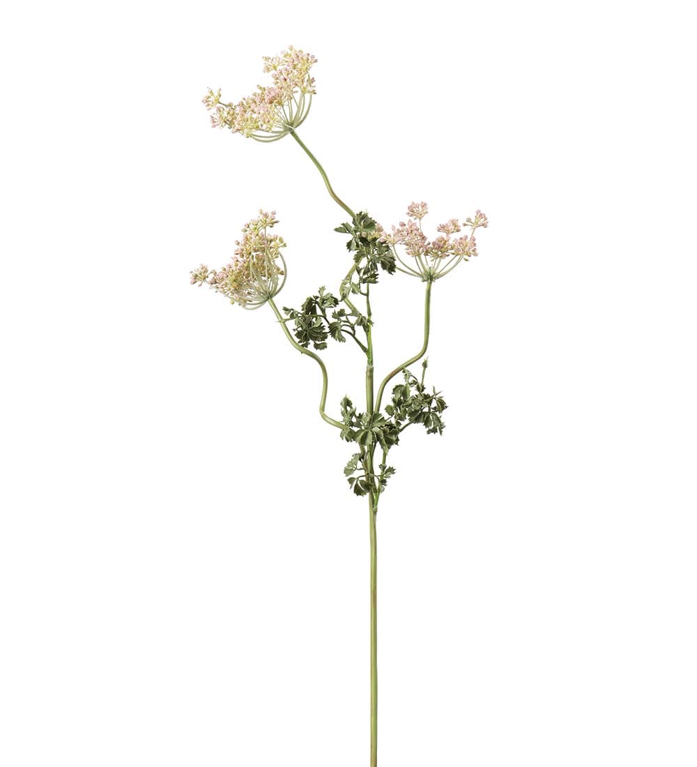 Flockblomma