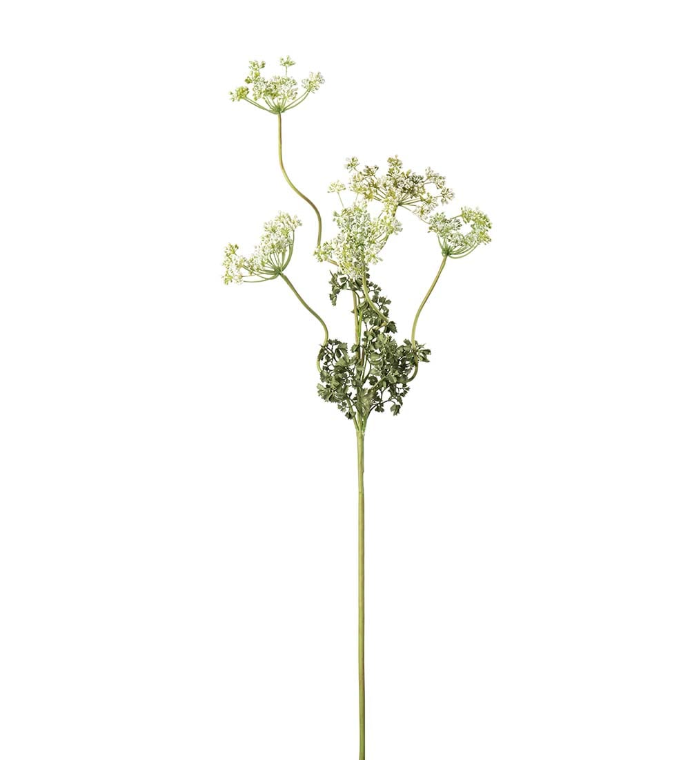 Flockblomma