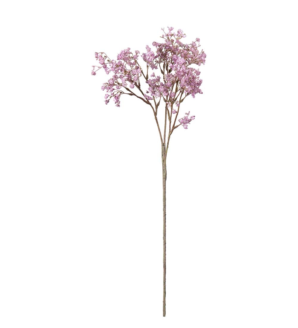Brudslöja