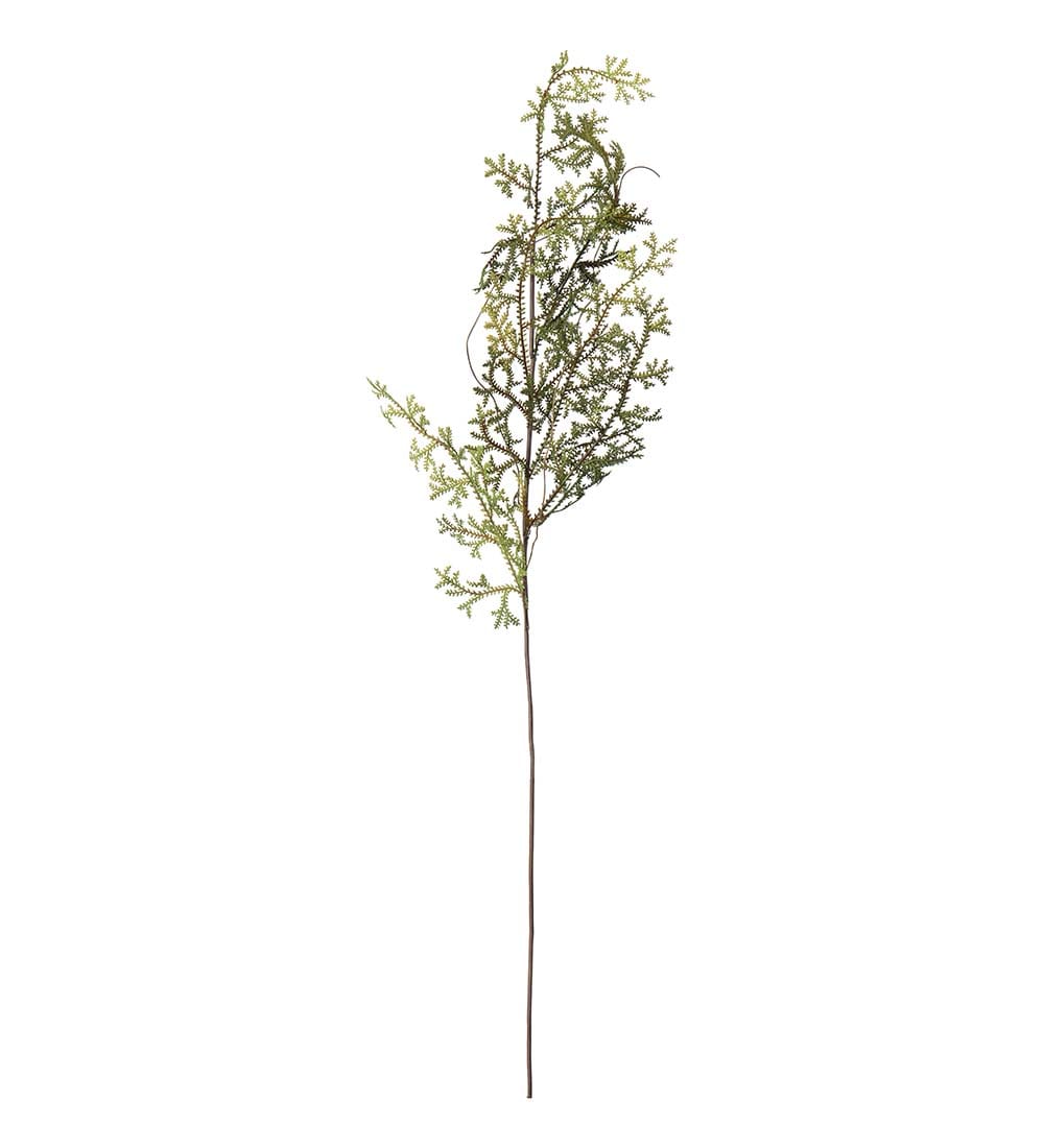 Ormbunksblad