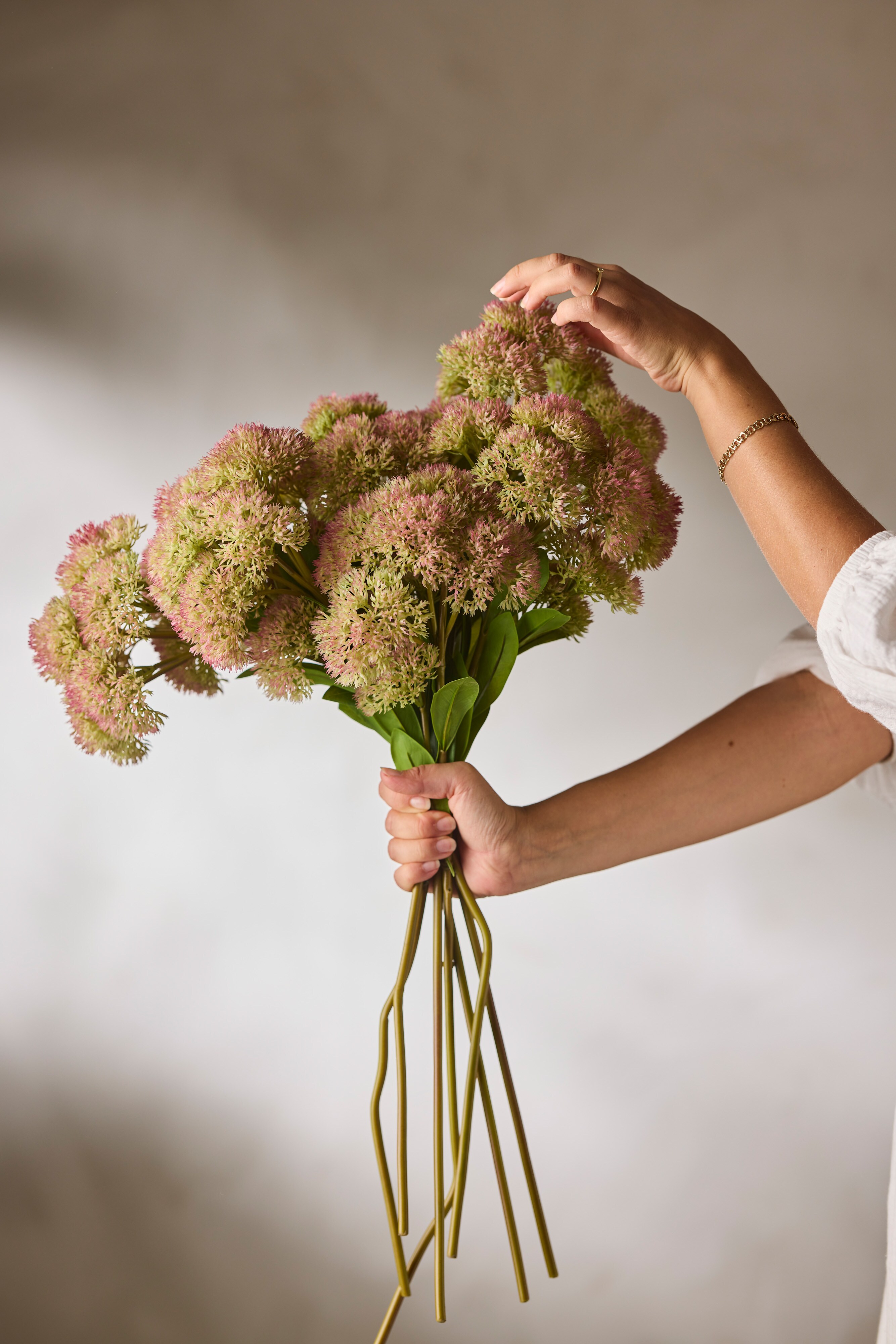 Sedum