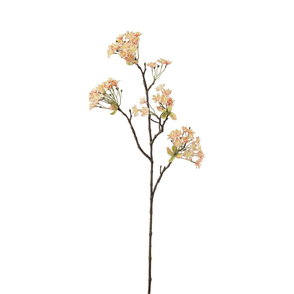 Lönnblomma