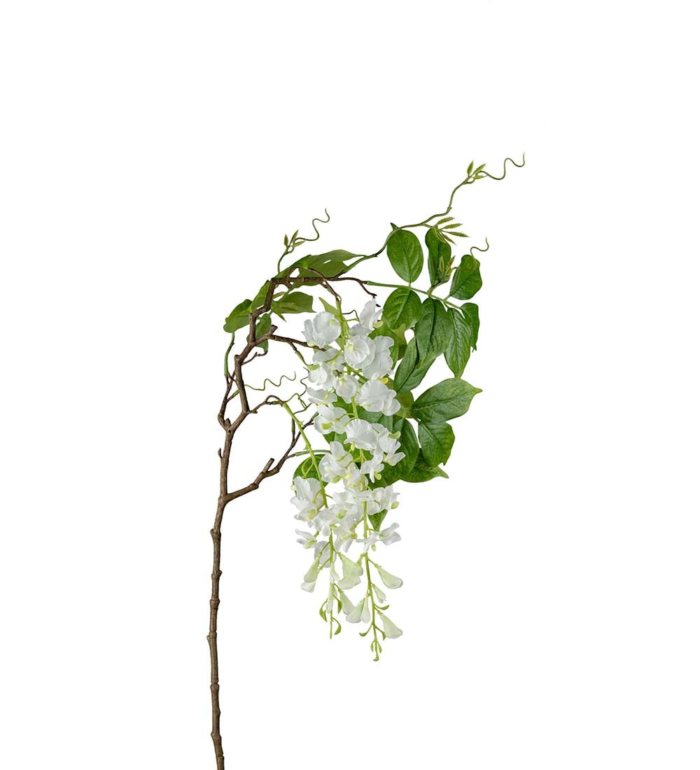Visteria
