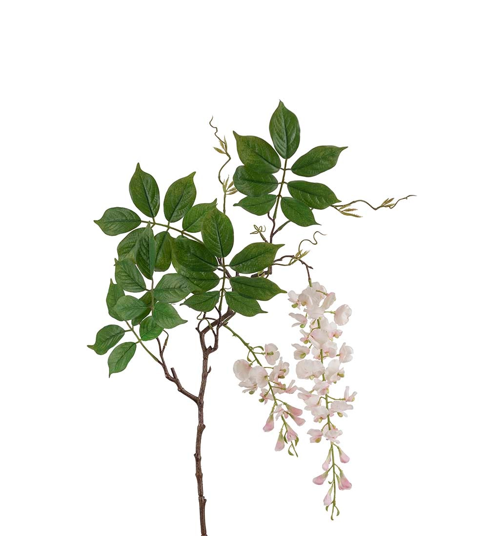 Visteria