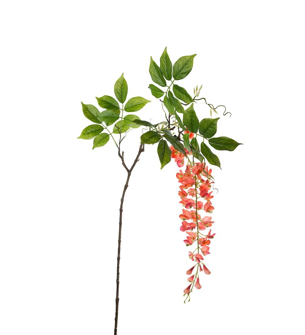 Visteria