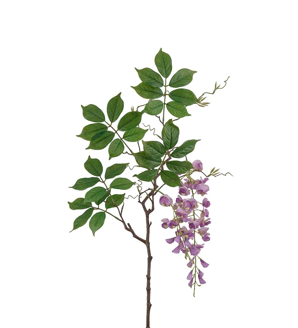 Visteria