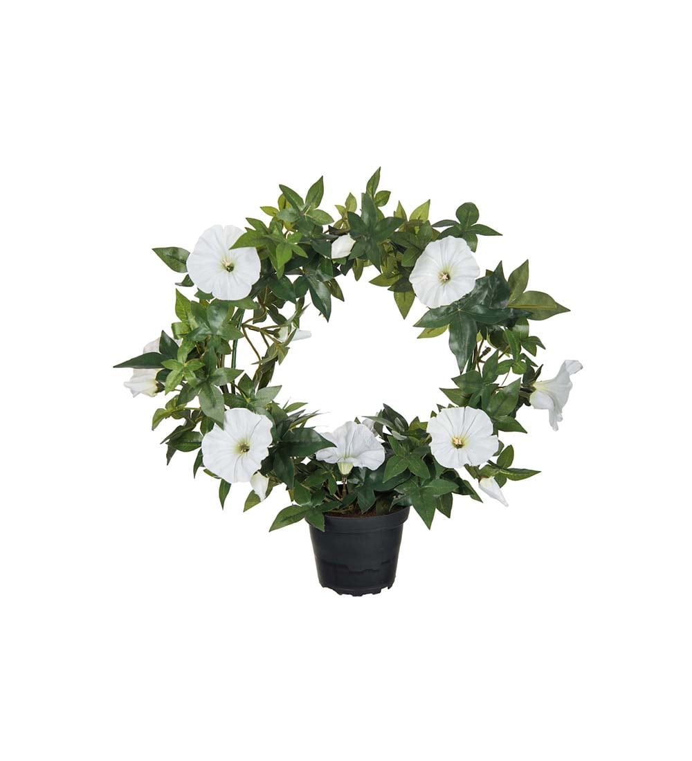 Blomma för dagen