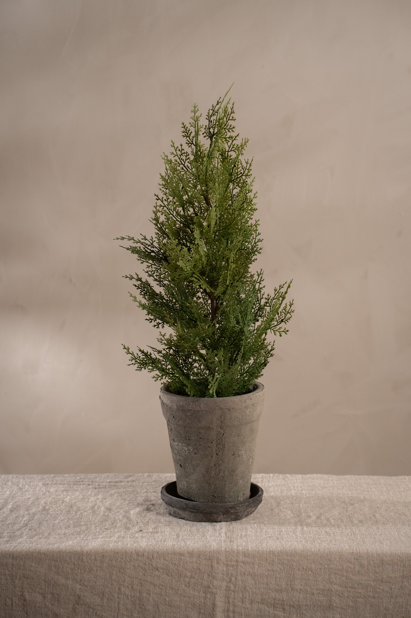 Cypress