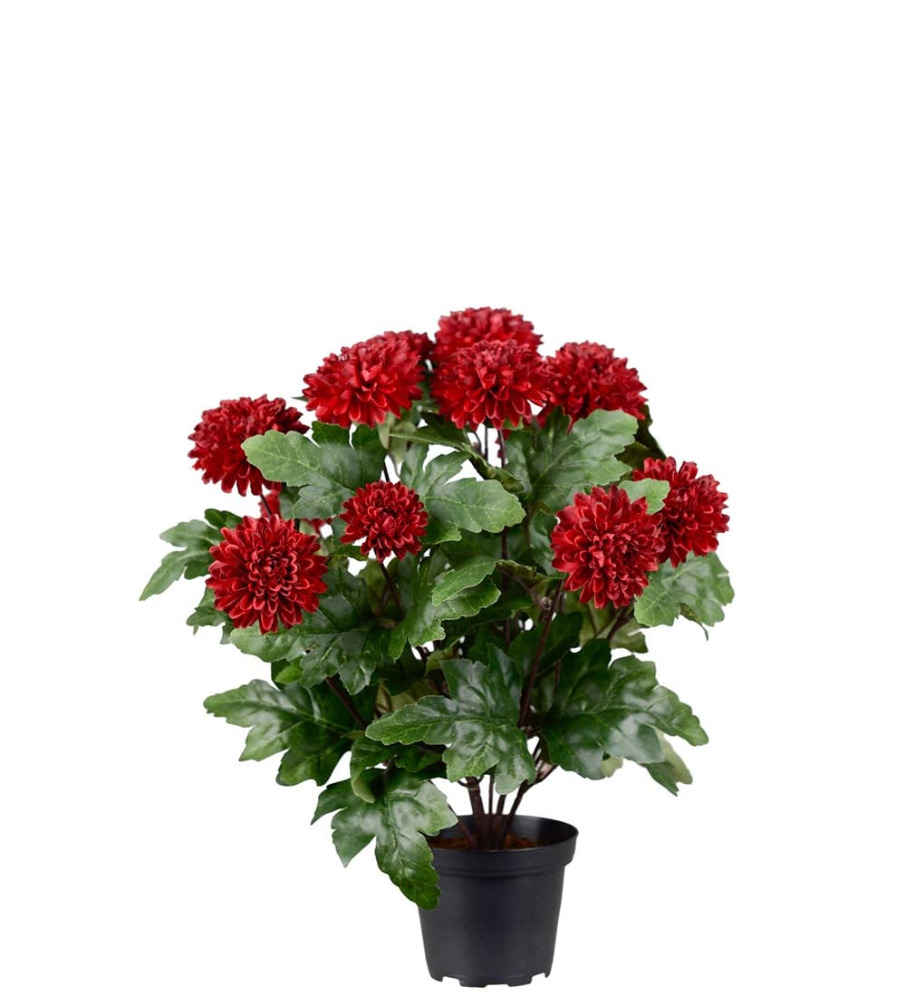 Konstgjord burgundy Chrysanthemum 30cm