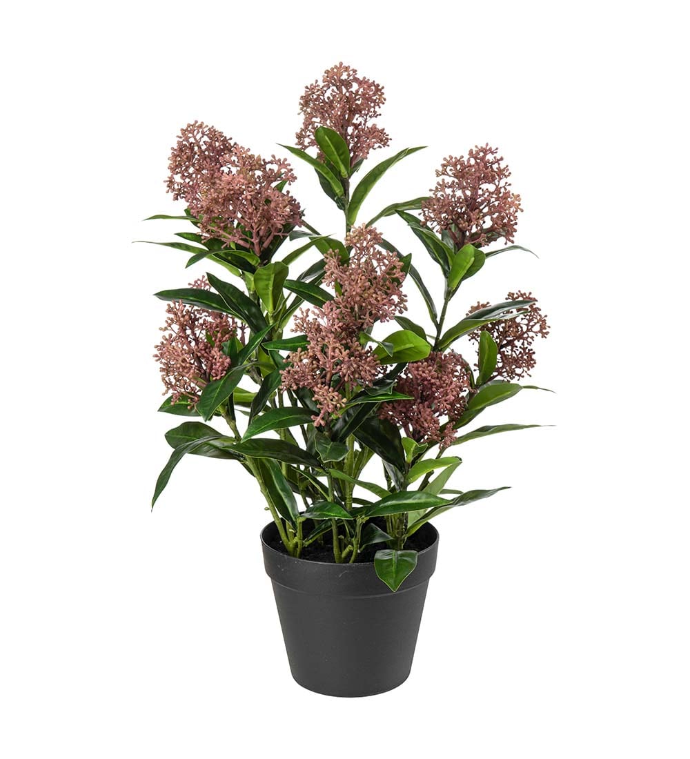 Konstgjord burgundy Skimmia 36cm