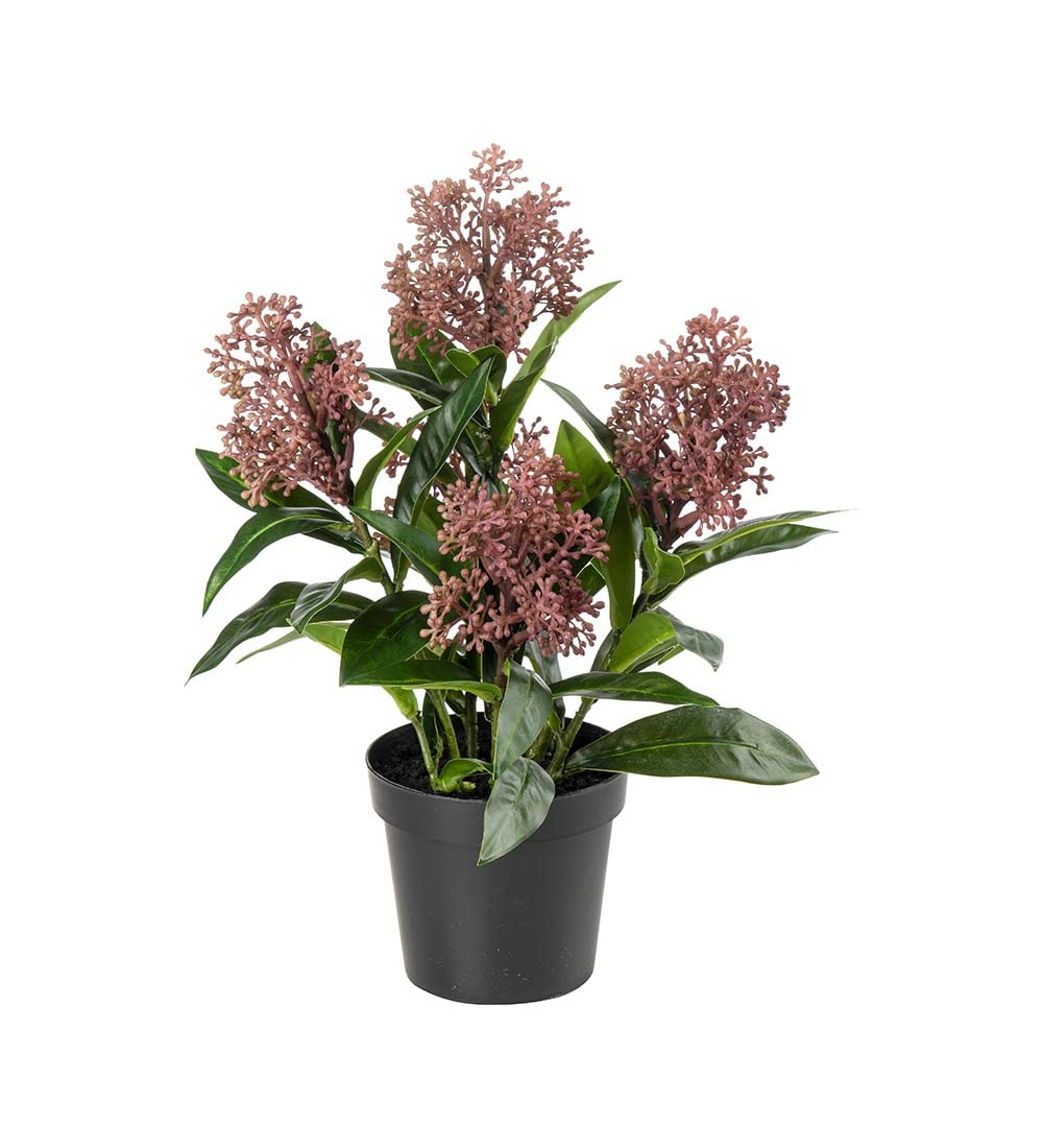 Konstgjord burgundy Skimmia 55cm