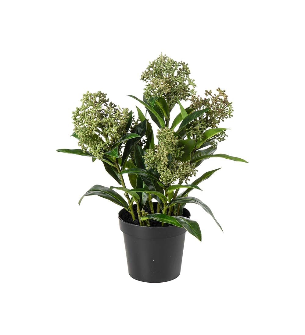Konstgjord grön Skimmia 55cm