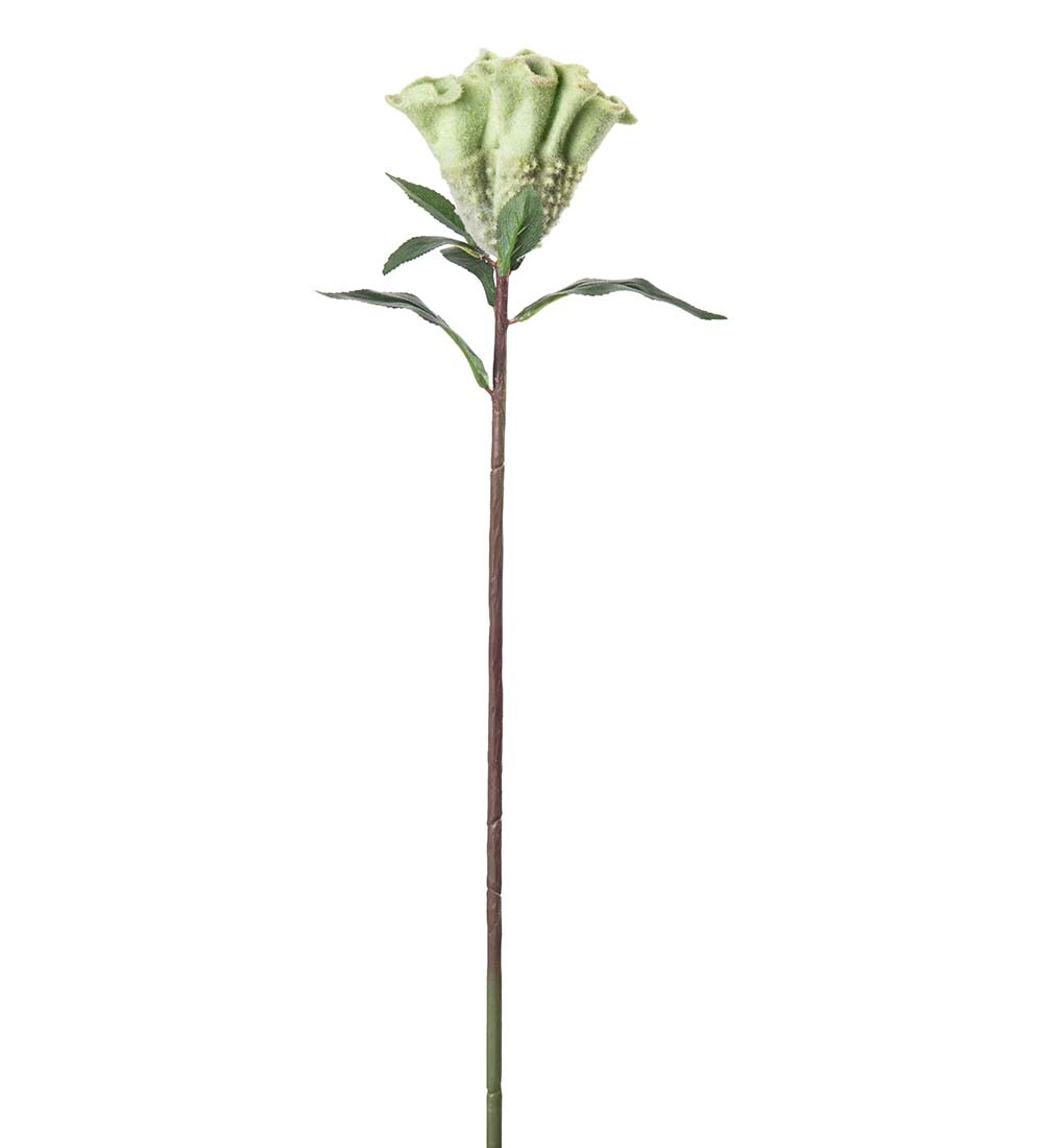 Konstgjord grön Celosia 67cm