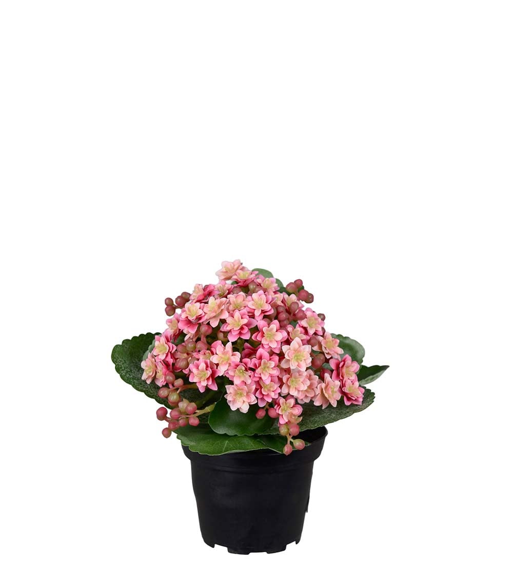 Konstgjord rosa Kalanchoe 18cm