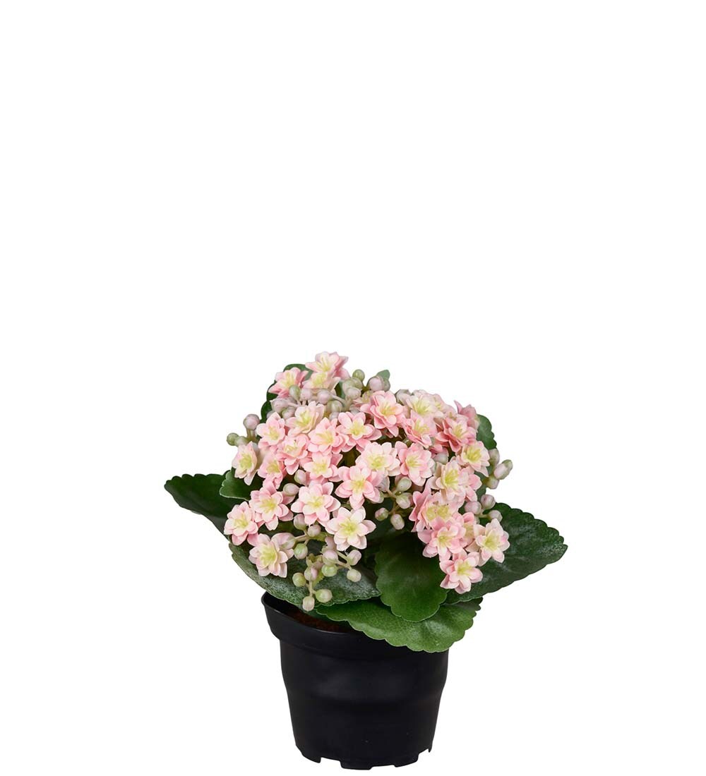 Konstgjord rosa Kalanchoe 18cm