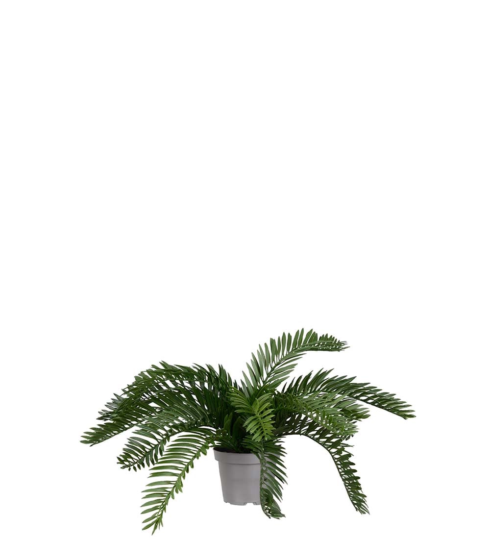 Konstgjord grön Cycas 20cm