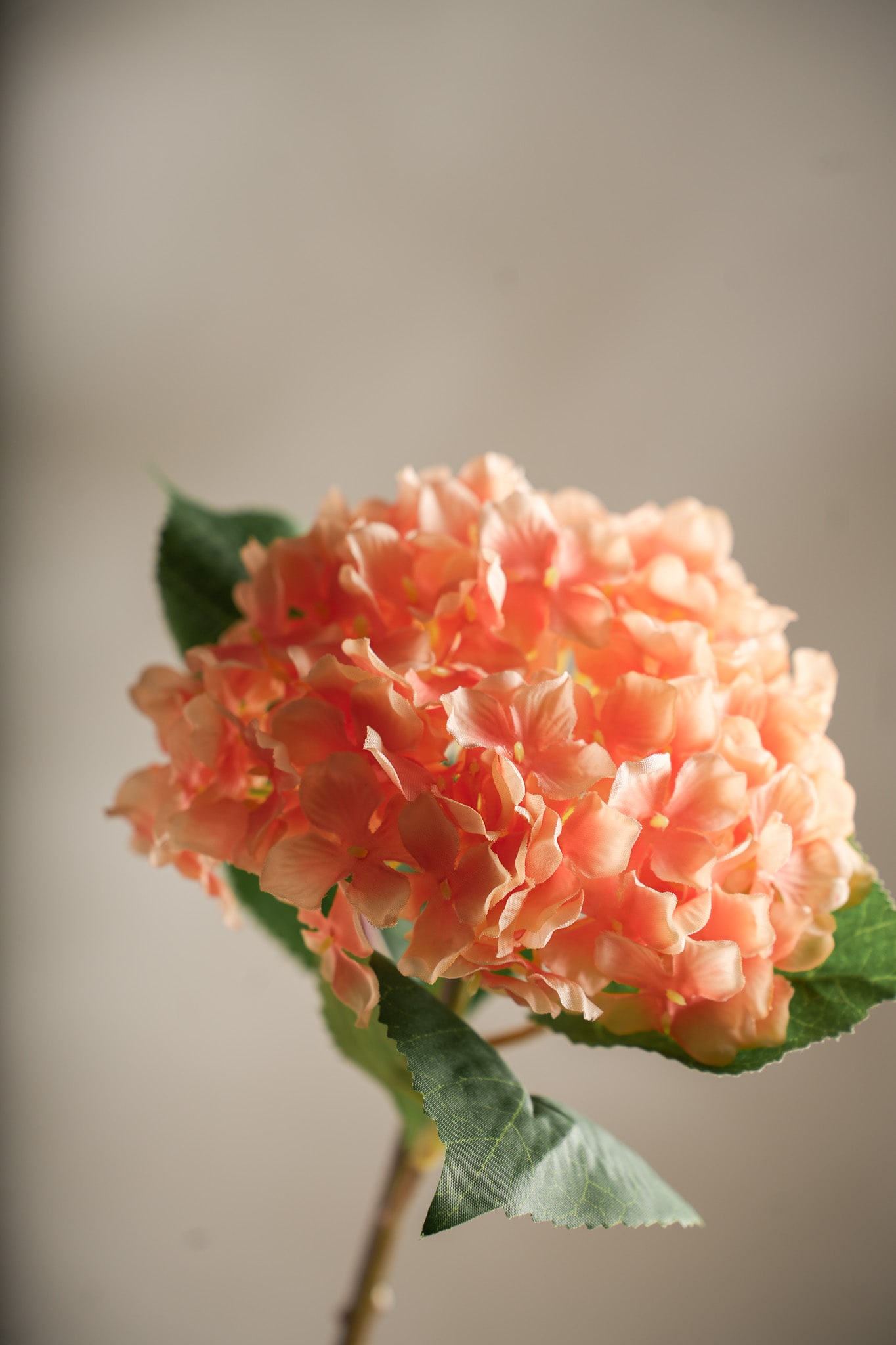 Konstgjord persika Hortensia 40cm
