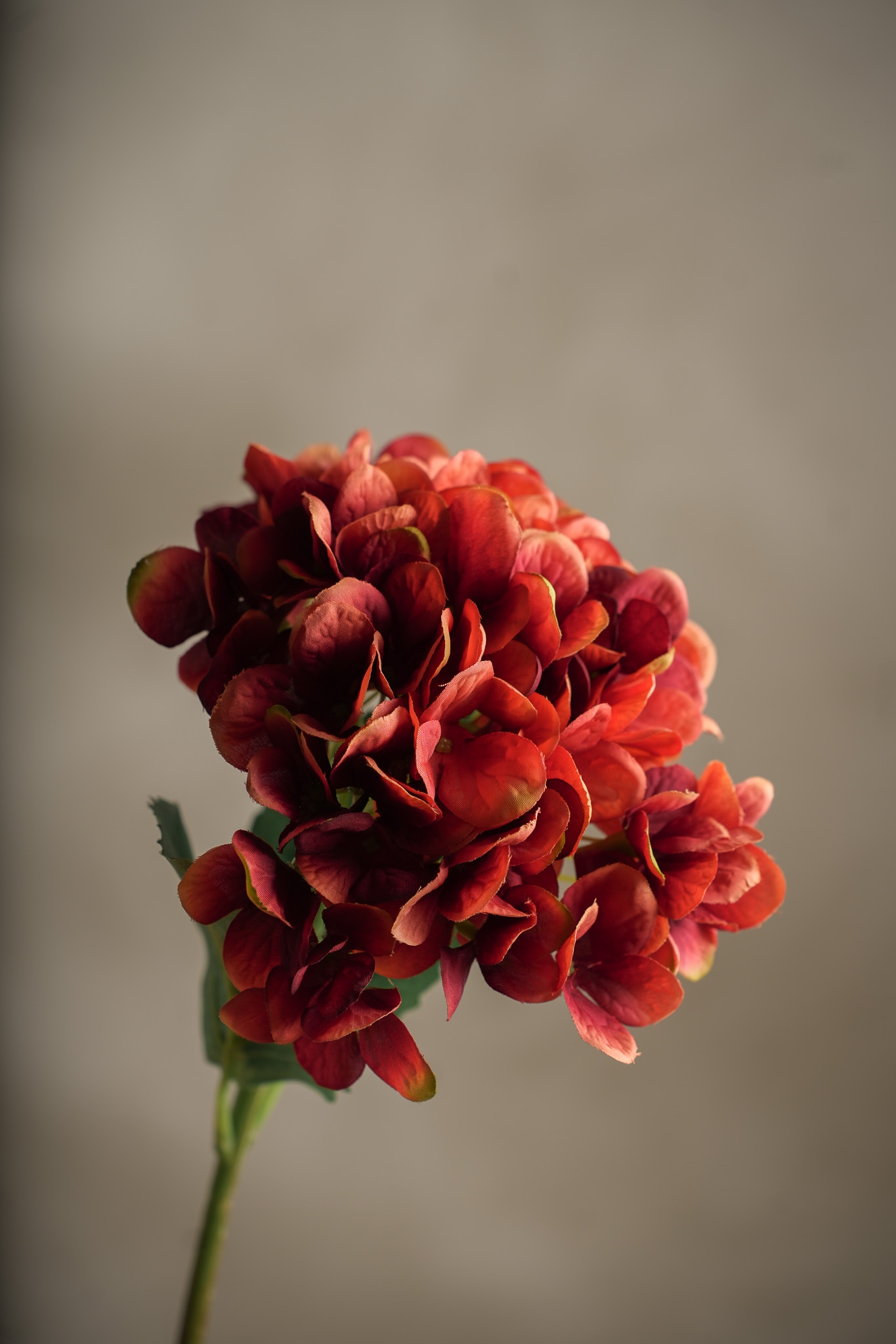 Konstgjord orange Hortensia 48cm